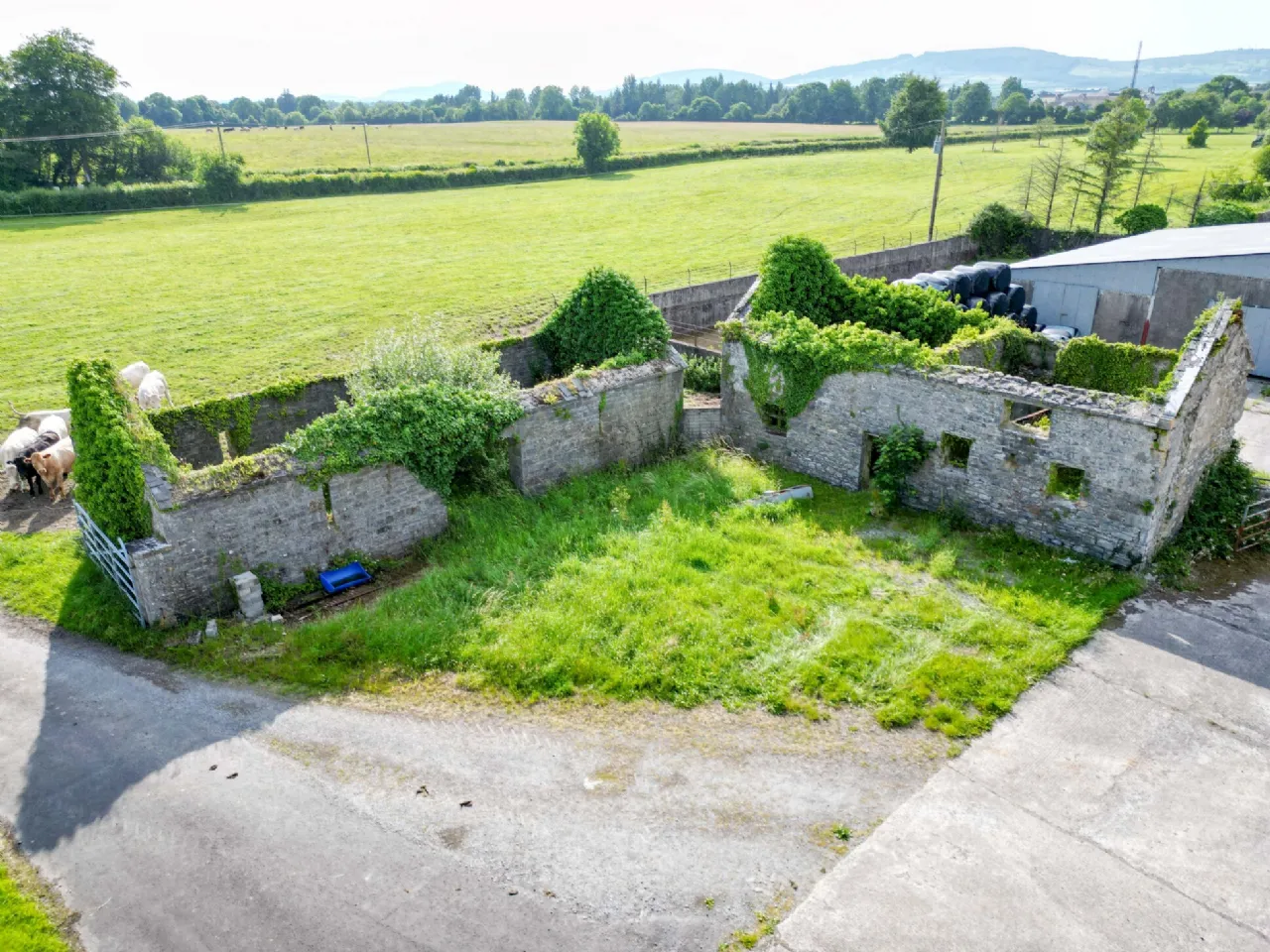 Photo of Woodville House On C. 38 Acres, Woodville, Templemore, Co. Tipperary, E41 CA40