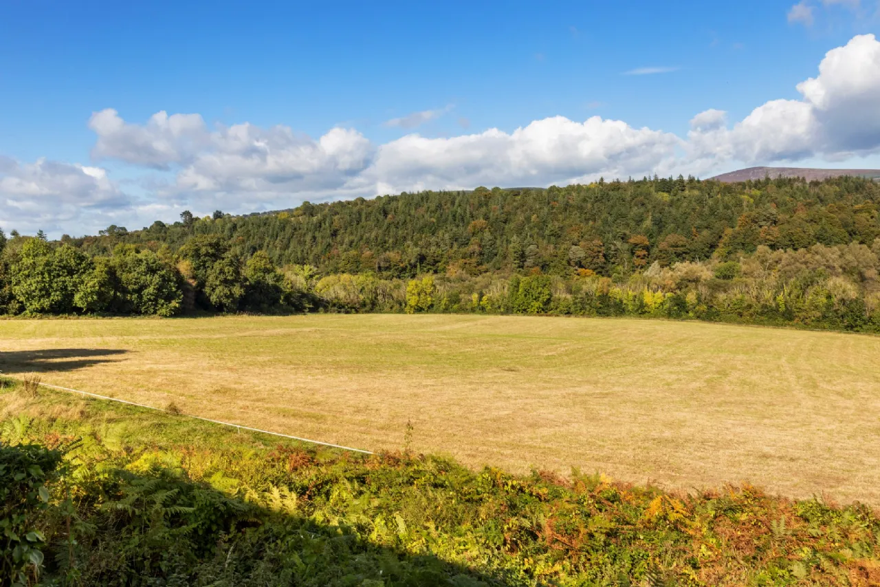 Photo of Dysertmore Estate, Inistioge, Co. Kilkenny, X91 E519