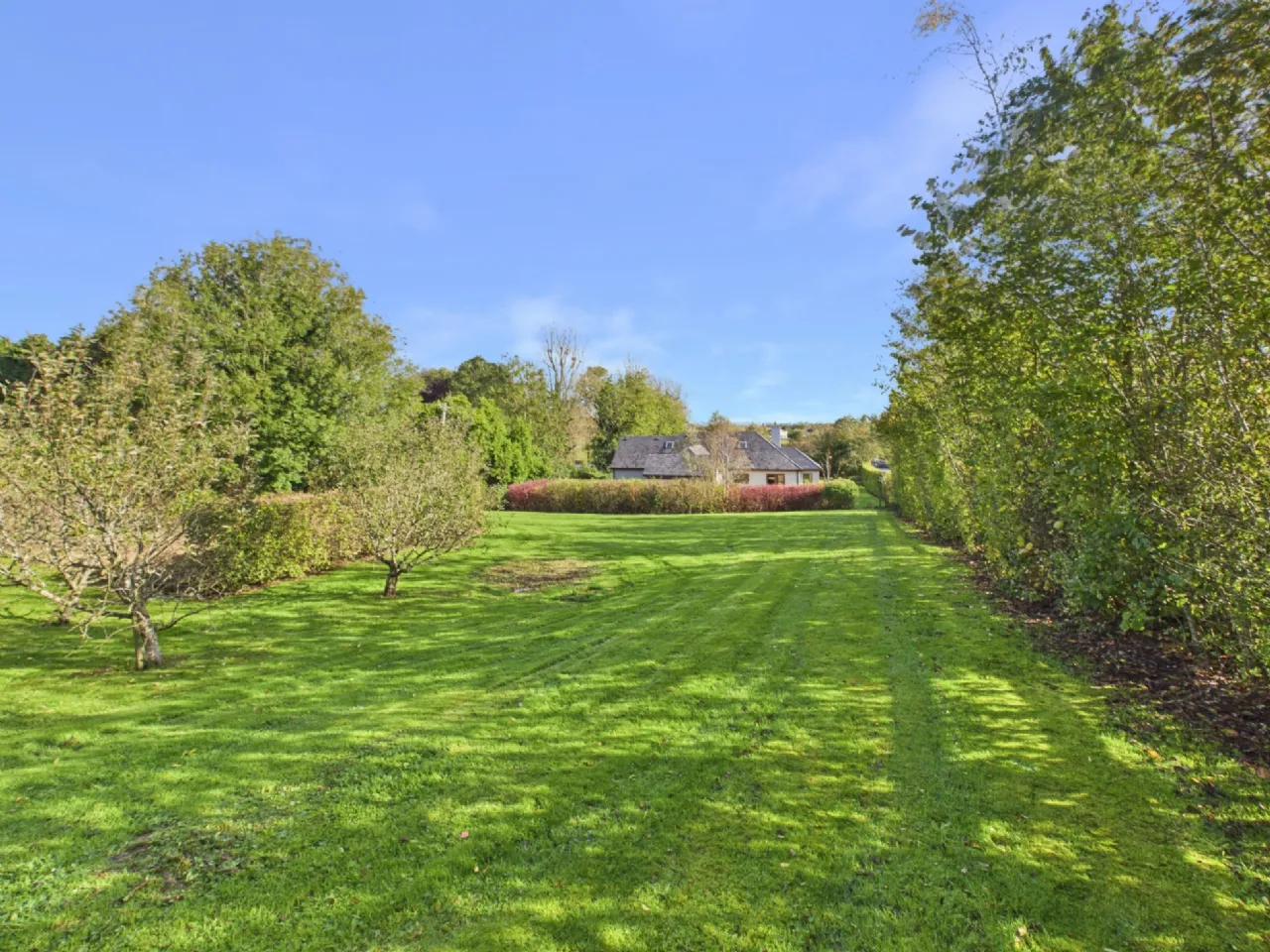 Photo of Drummeen, Ennis, Co. Clare, V95 P2YR
