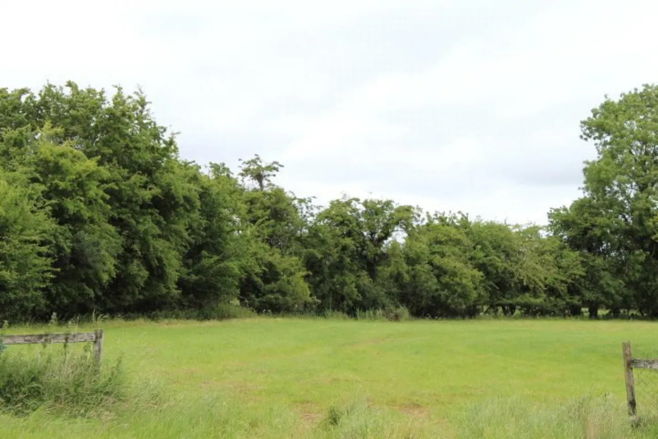 Photo of Yew Tree House, Commons North, Suncroft, The Curragh, Co. Kildare, R56 FX45