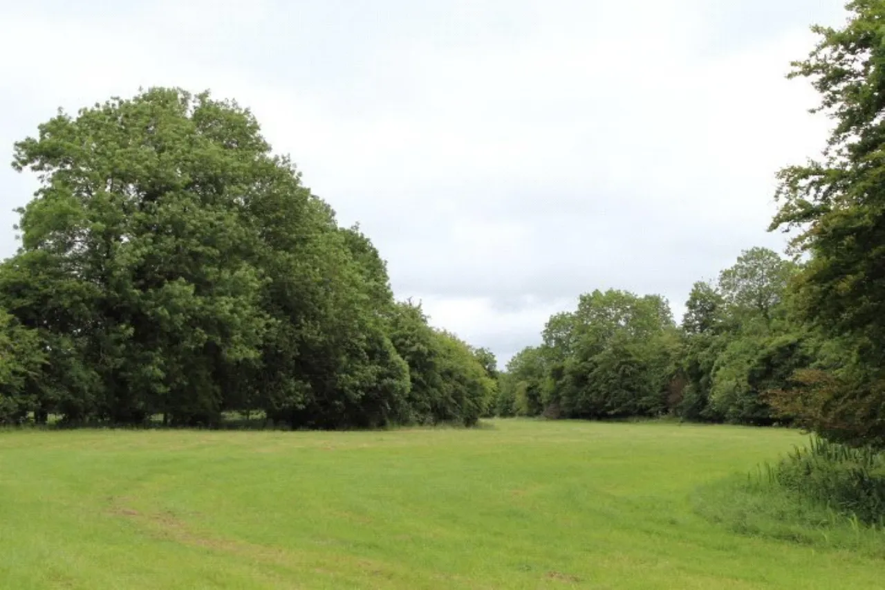 Photo of Yew Tree House, Commons North, Suncroft, The Curragh, Co. Kildare, R56 FX45