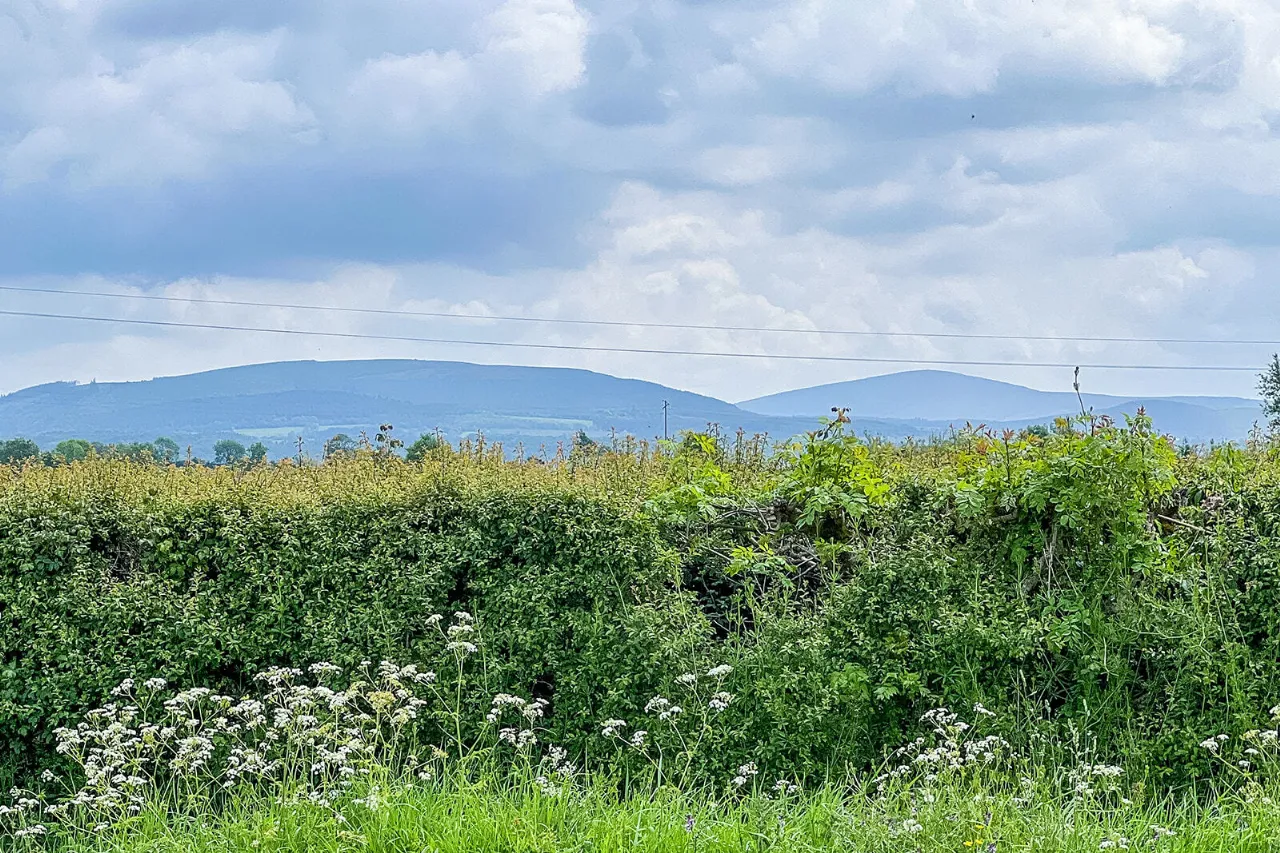 Photo of Conifer Cottage, Newhouse, Thomastown, Co Kilkenny, R95 R6W3