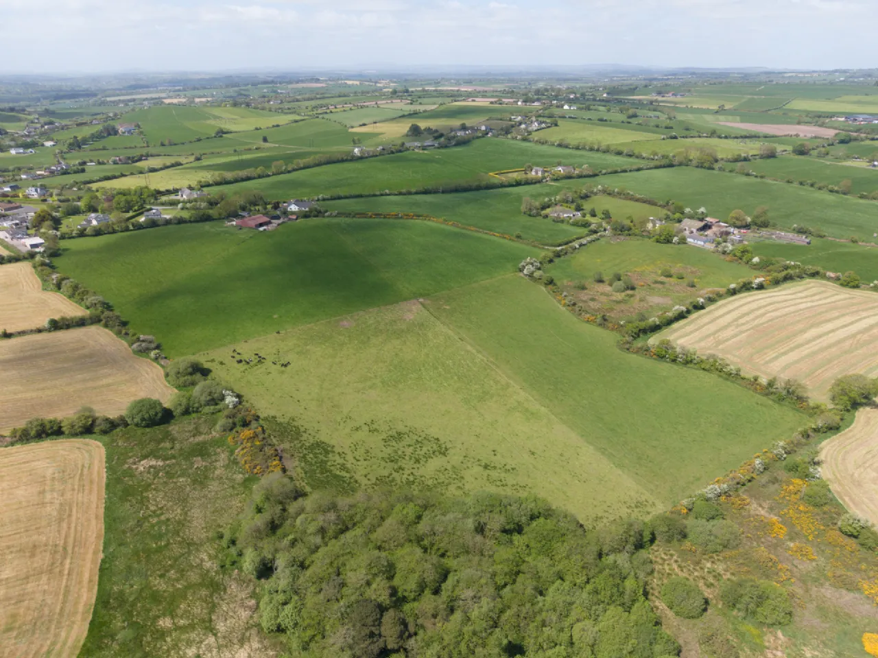 Photo of Land At Killeendaniel, Whitechurch, Cork