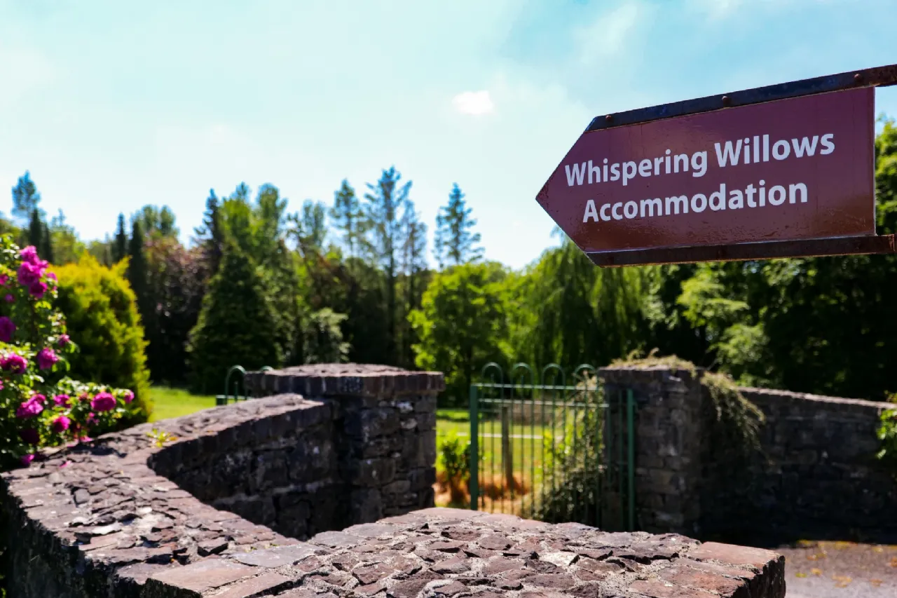 Photo of Whispering Willow, Brooklodge Demesne, Ballyglunin, Co. Galway, H54 XC86