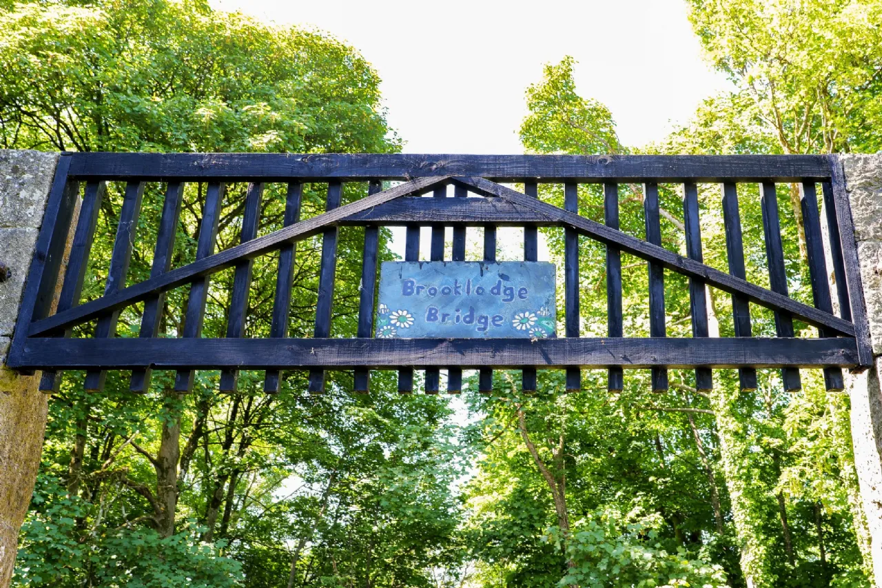 Photo of Whispering Willow, Brooklodge Demesne, Ballyglunin, Co. Galway, H54 XC86