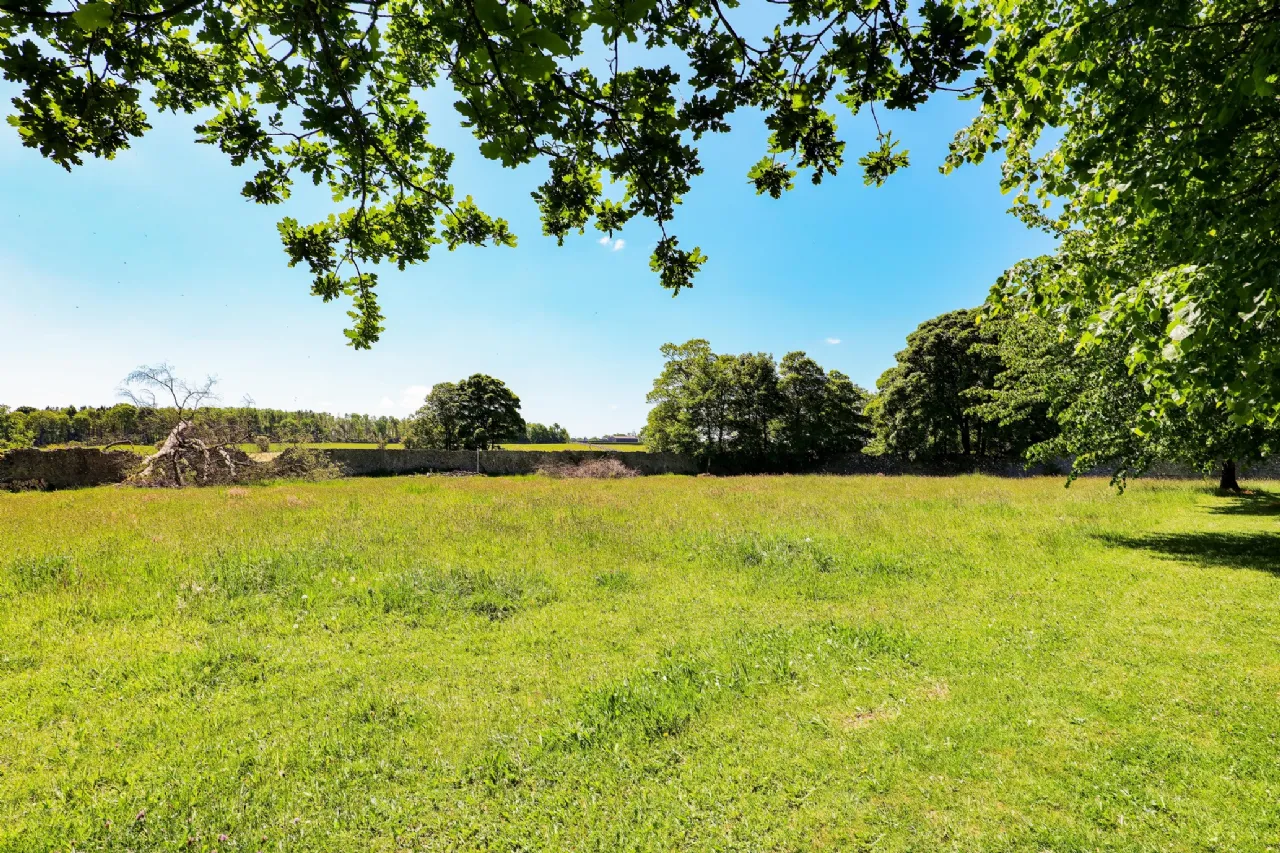 Photo of Whispering Willow, Brooklodge Demesne, Ballyglunin, Co. Galway, H54 XC86