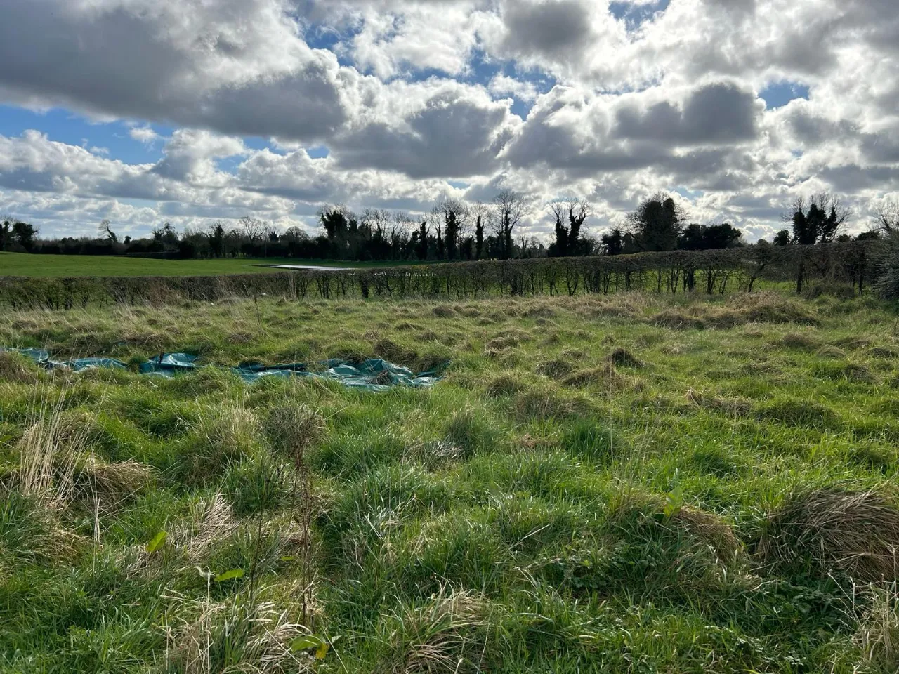 Photo of Belfield, Gaybrook, Mullingar, Co. Westmeath, N91 P5X8