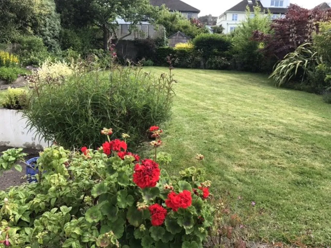 Photo of 27 Wilson Road, Mount Merrion, Co. Dublin, A94 W6P3