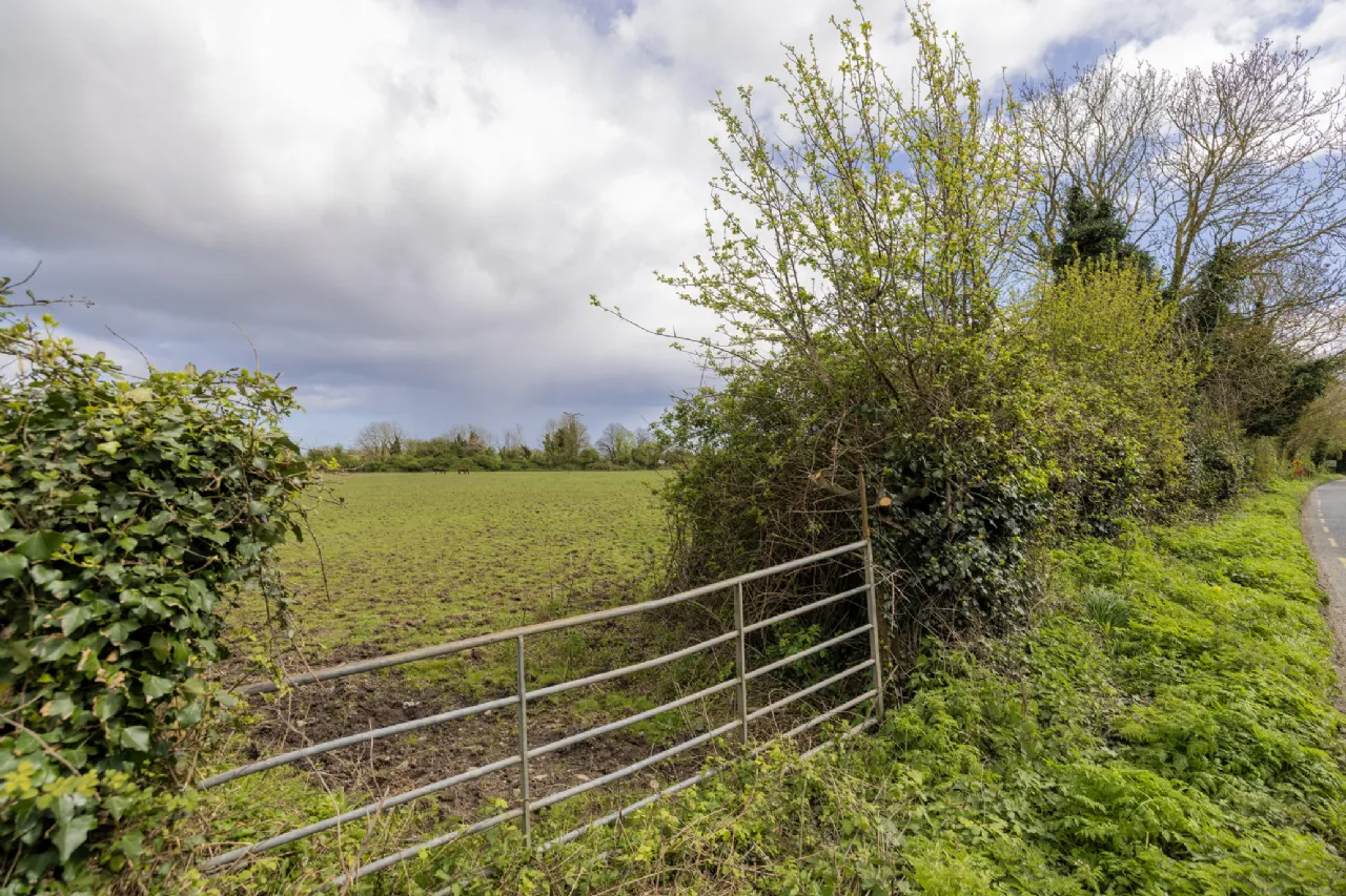 Photo of 21 Acres Brazil, The Leas, Swords, Co. Dublin, DUBLIN