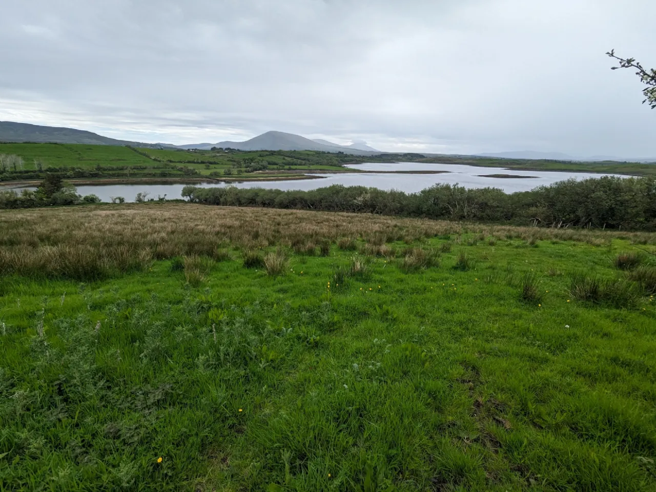 Photo of 7.93 Acres Agricultural Land, Ardagh, Newport, Co Mayo