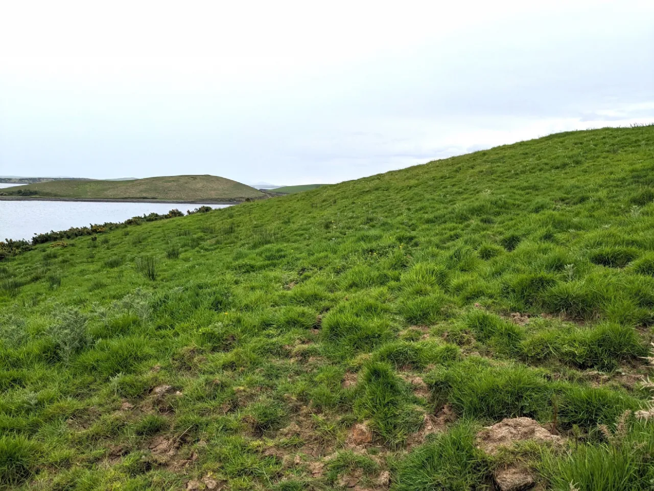Photo of 7.93 Acres Agricultural Land, Ardagh, Newport, Co Mayo