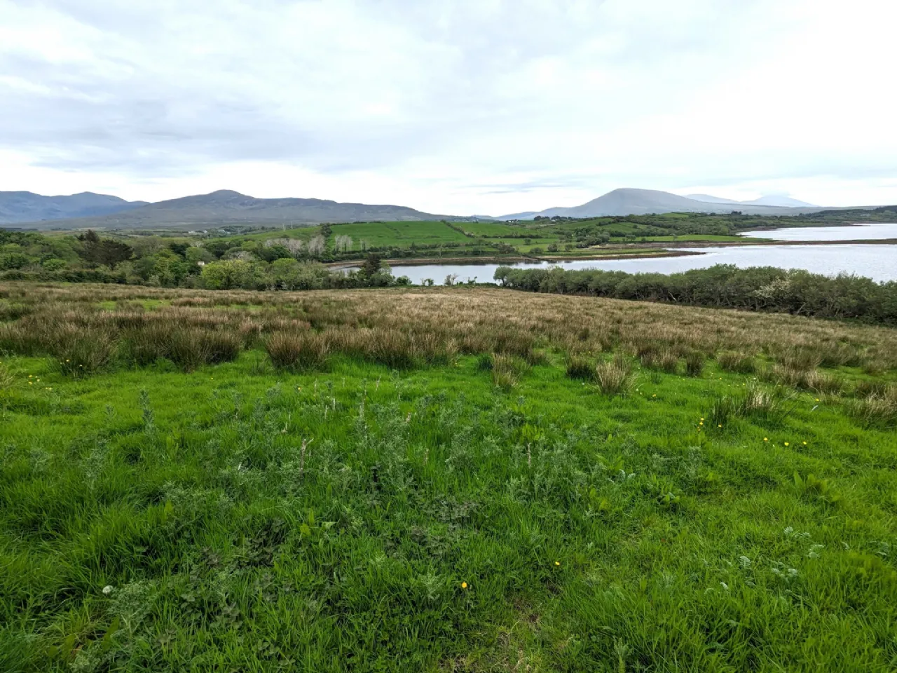 Photo of 7.93 Acres Agricultural Land, Ardagh, Newport, Co Mayo