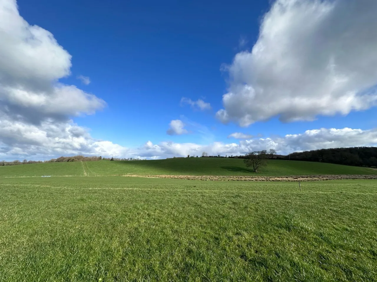 Photo of Cornacassa, Monaghan, Co. Monaghan