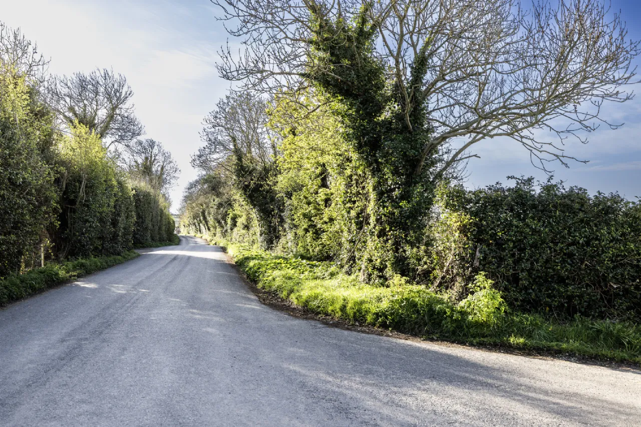 Photo of Walshestown Land, Walshestown, Lusk, Co. Dublin