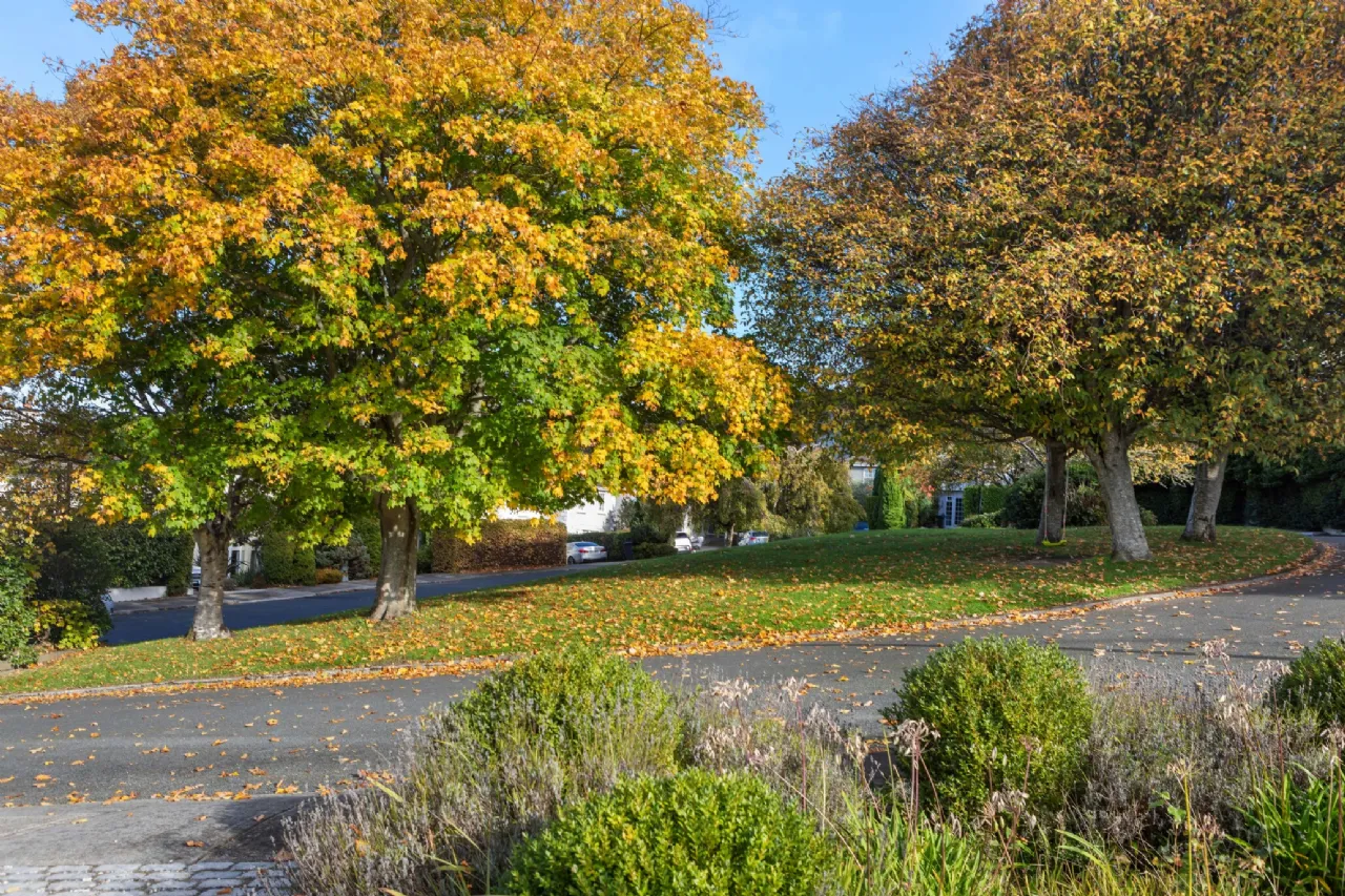 Photo of 5 Mount Auburn, Killiney Road, Killiney, Co Dublin, A96 K6P5