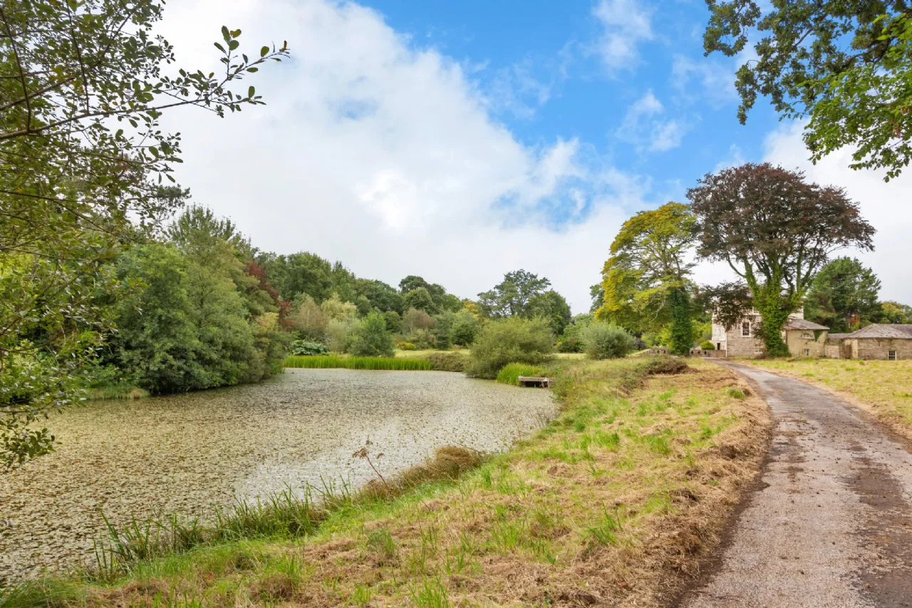 Photo of Ballyneale House, Ballingarry, Co. Limerick, V94 E729