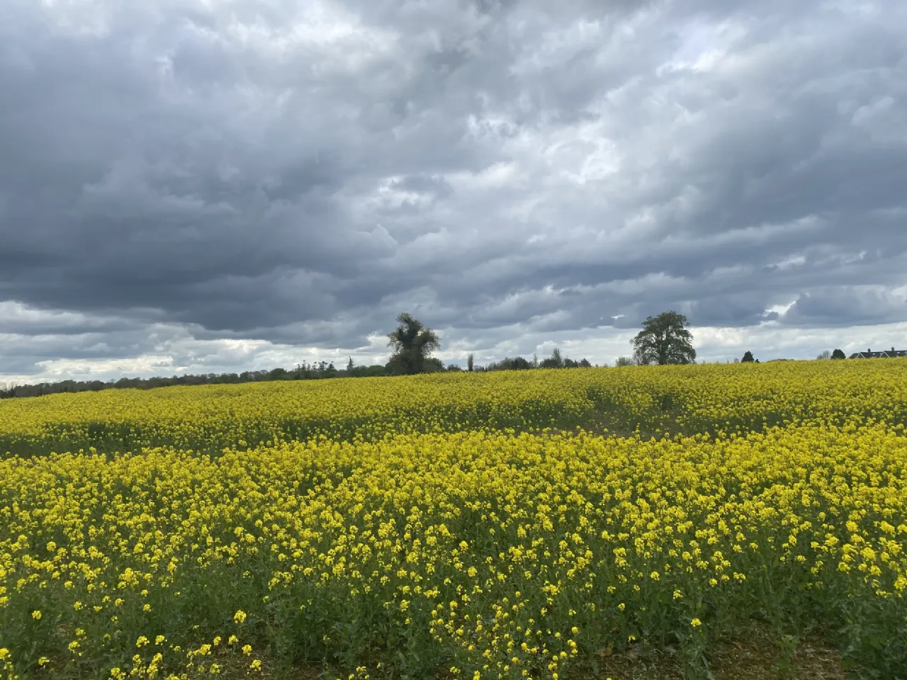 Photo of Mullingar Road, Castlepollard, Co. Westmeath, N91 KT38