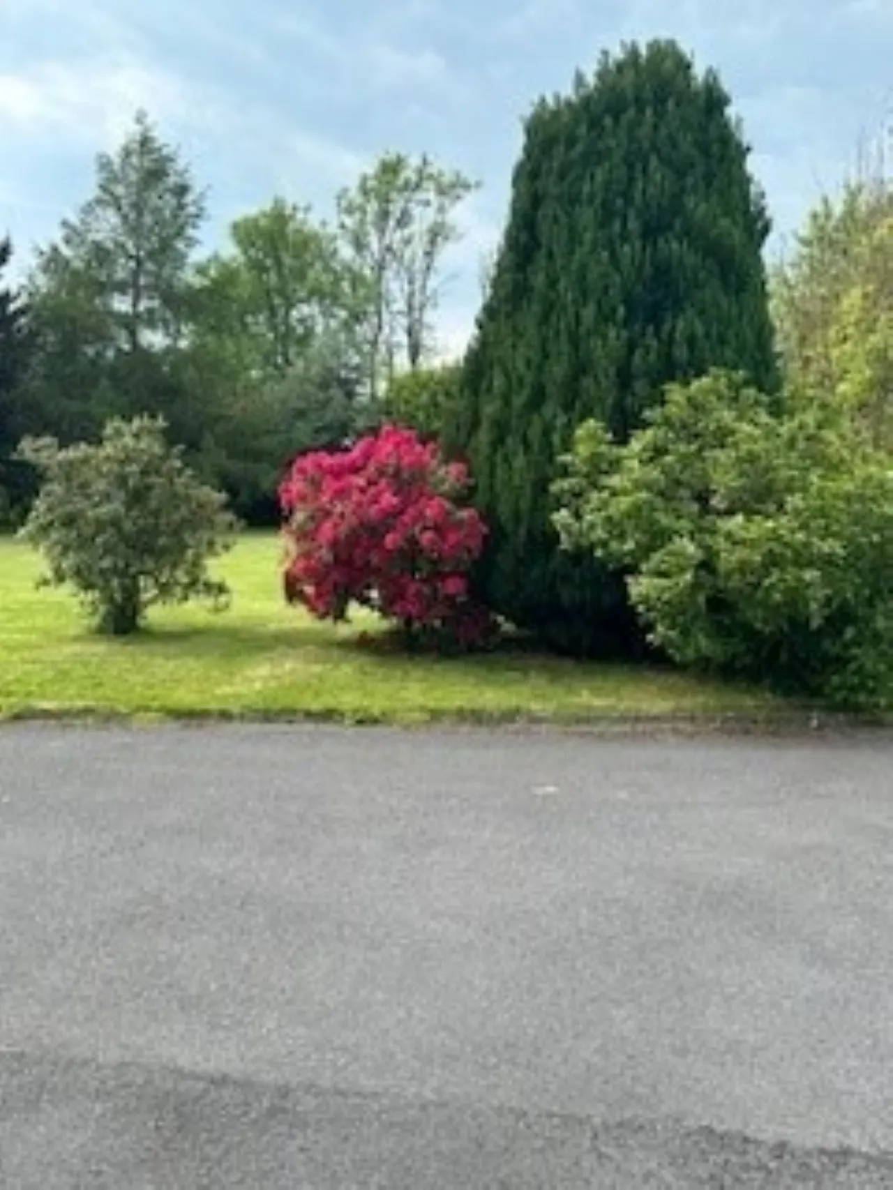Photo of Rostellan On Circa 5.3 Acres, Oldgrange, Graiguenamanagh, Co Kilkenny, R95 DX66