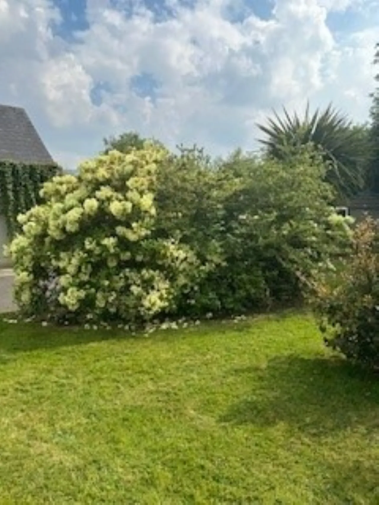 Photo of Rostellan On Circa 5.3 Acres, Oldgrange, Graiguenamanagh, Co Kilkenny, R95 DX66