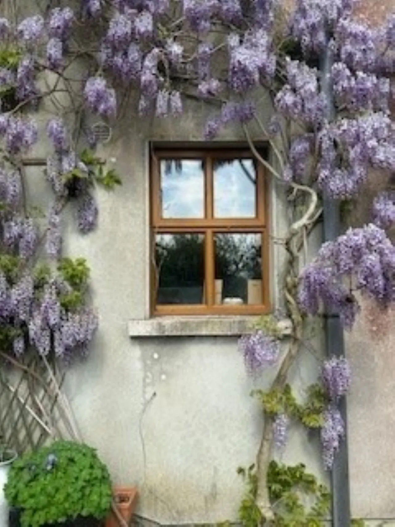 Photo of Rostellan On Circa 5.3 Acres, Oldgrange, Graiguenamanagh, Co Kilkenny, R95 DX66