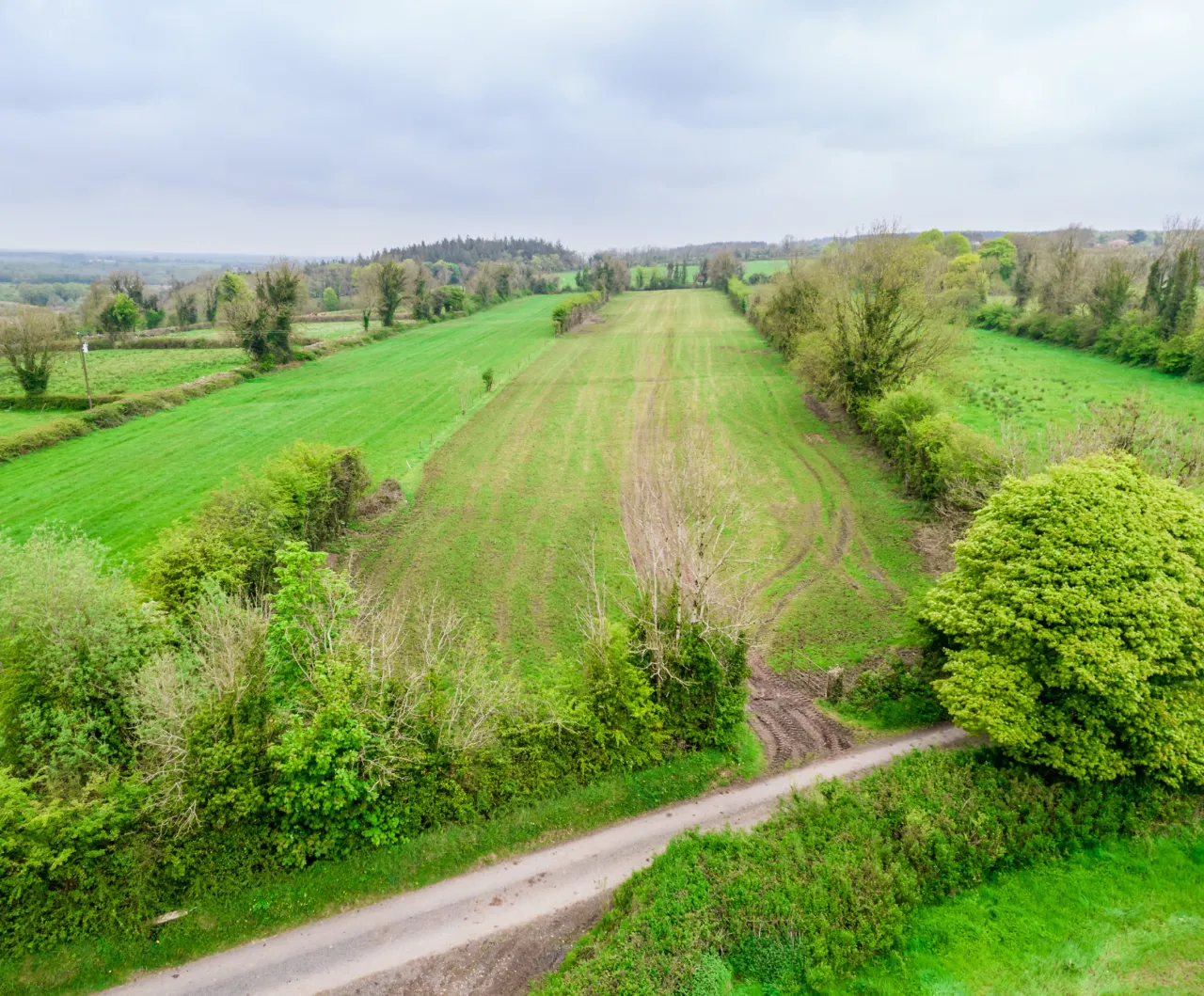 Photo of Scramoge, Roscommon, Co. Roscommon