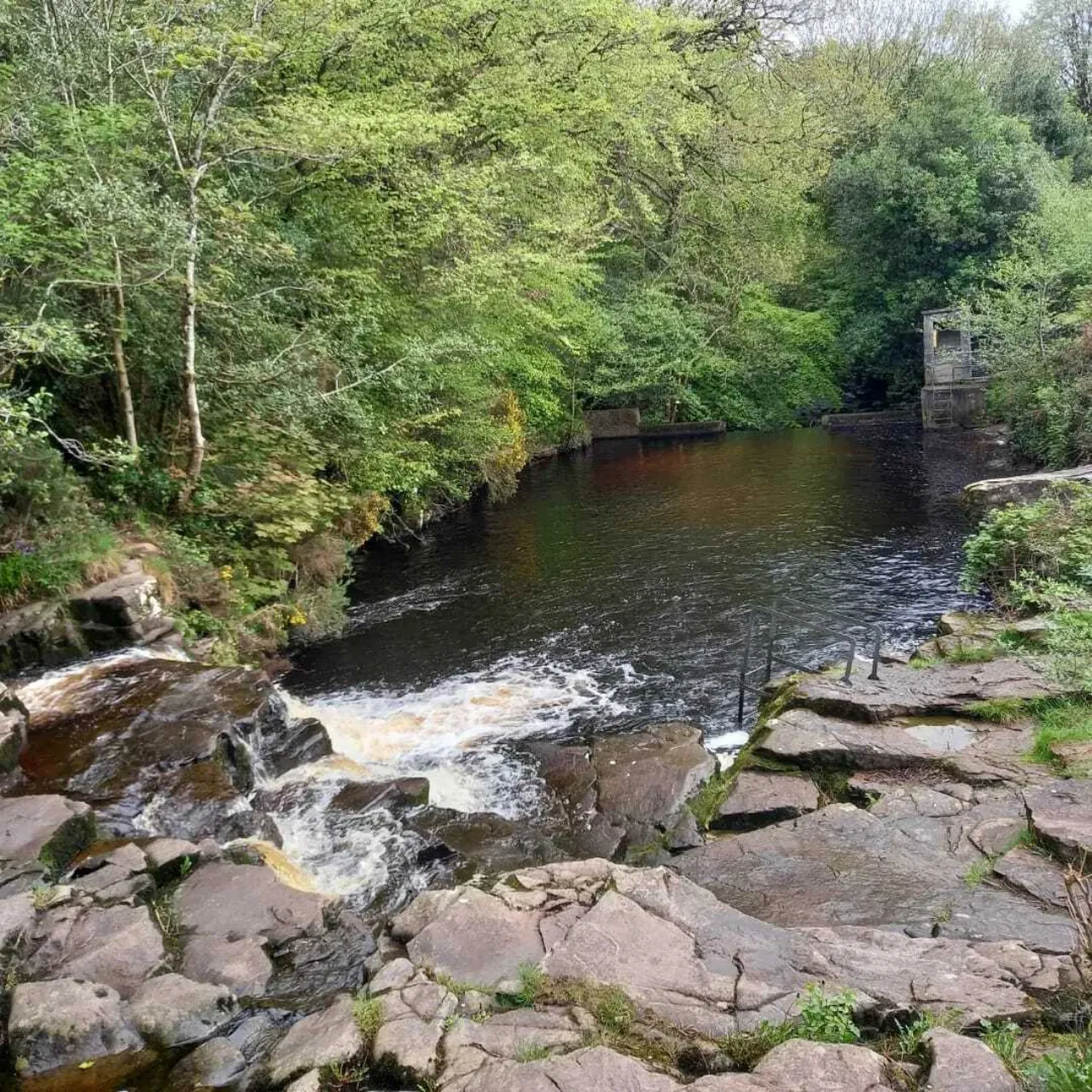 Photo of 1 Acre Site, Cappanrush, Ballyfin, Co. Laois