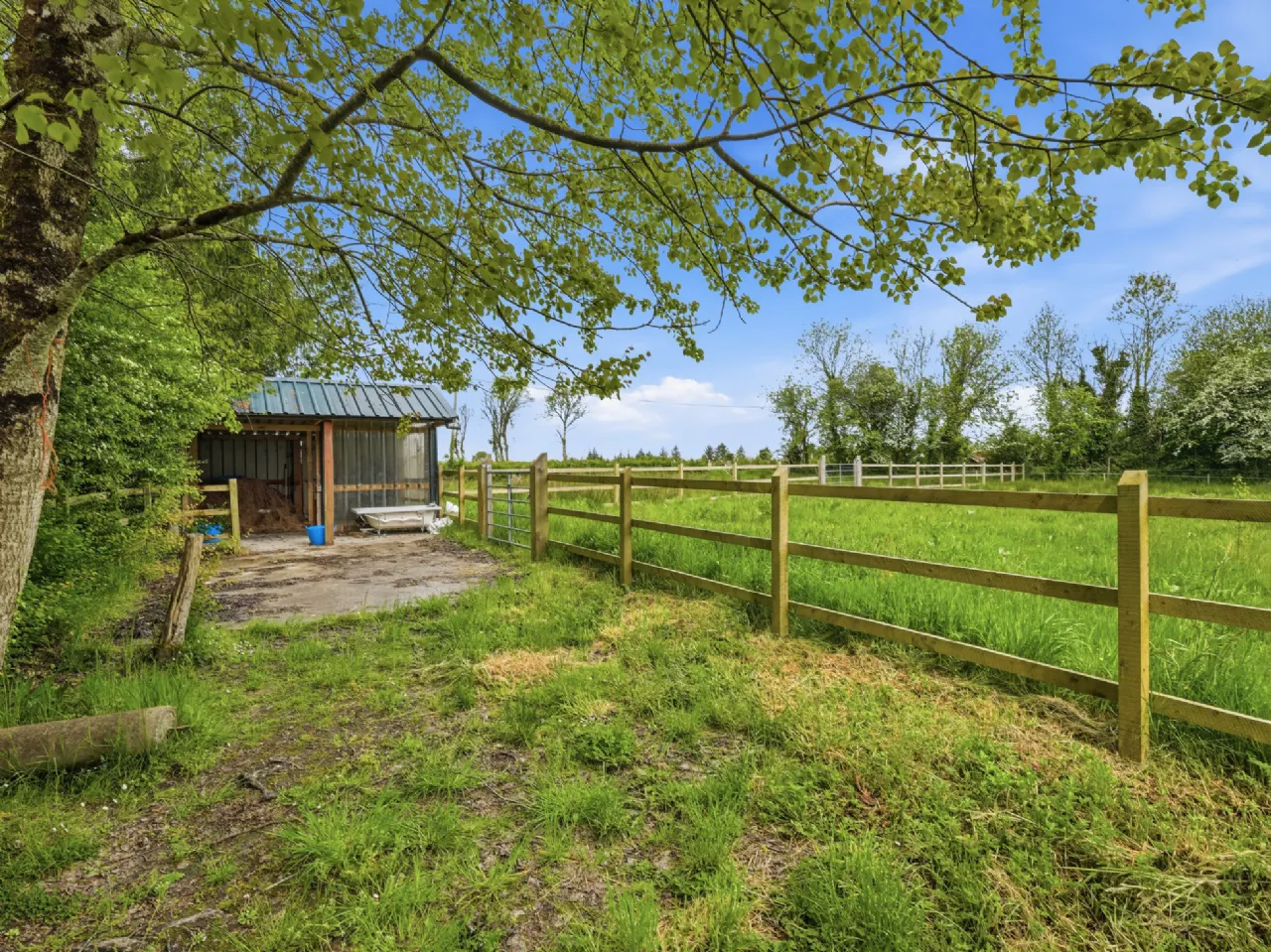 Photo of Cloonagh Lodge, Cloonagh, Charlestown, Co Sligo, F12P5W9