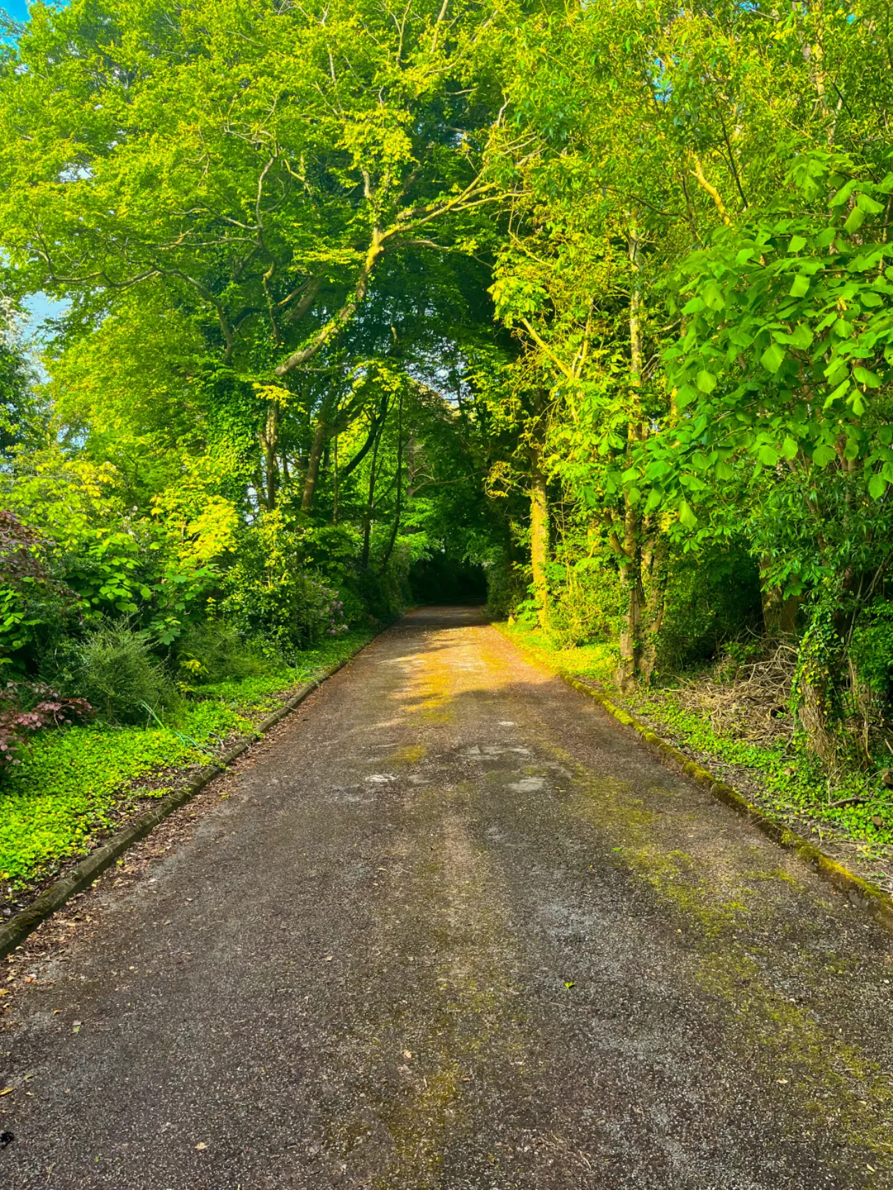 Photo of Burntwood House, Clieveragh, Listowel, Co Kerry, V31 AP04