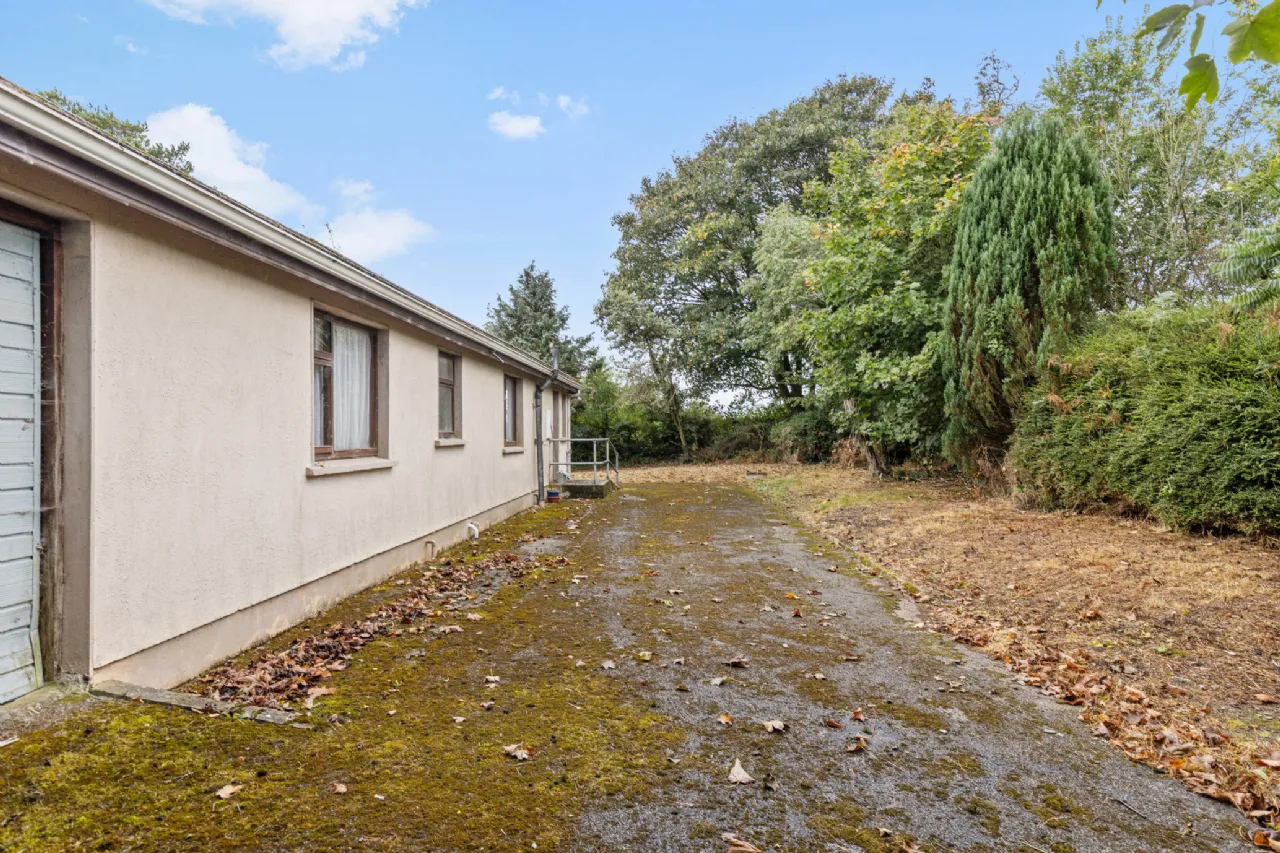 Photo of Shanbogh Upper, New Ross, Co. Wexford, Y34 E972