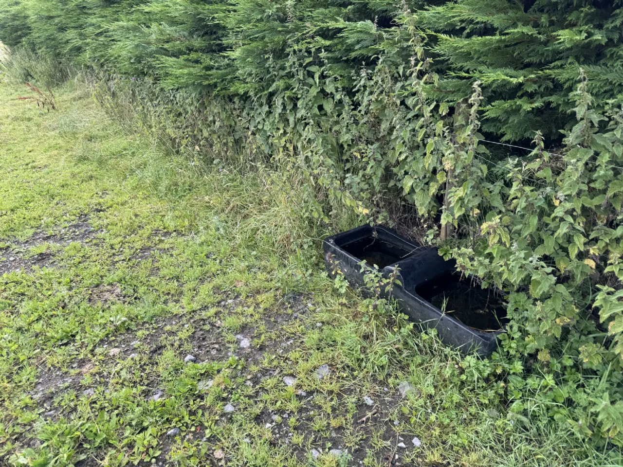 Photo of Scardaune, Claremorris, Co Mayo