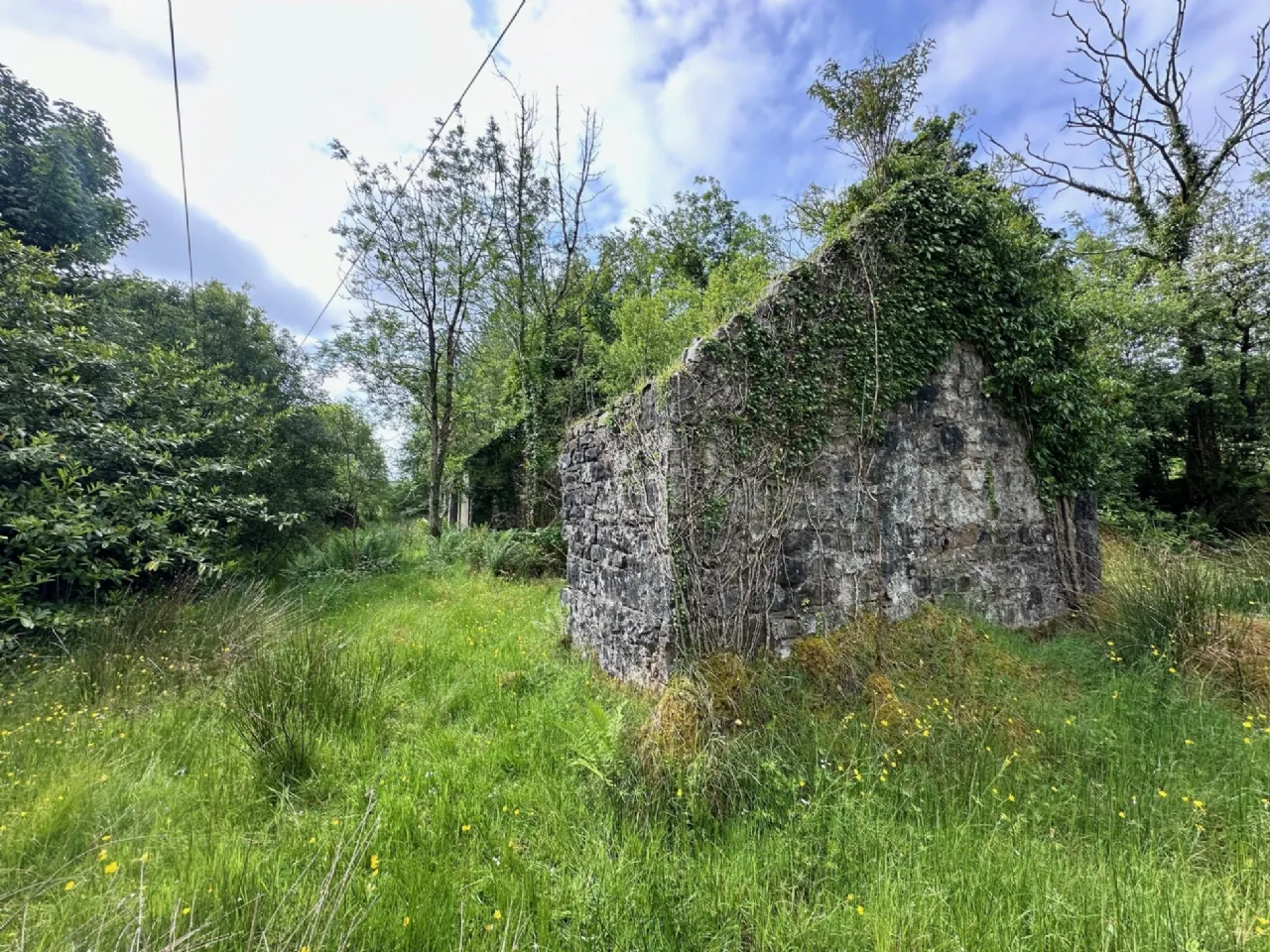 Photo of Bragan,, Knockatallan,, Co. Monaghan