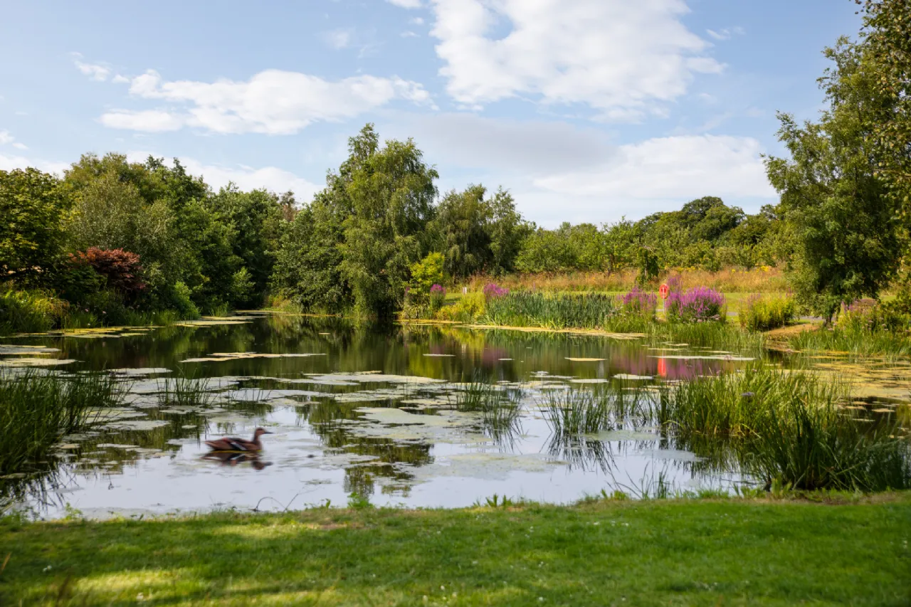 Photo of Beckett Woods, Brighton Road, Foxrock, Dublin 18