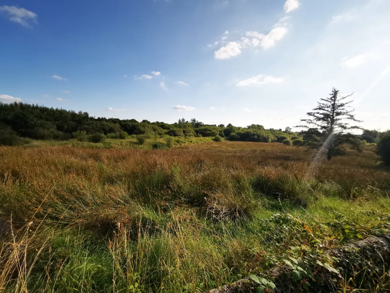 Photo of Old Castlebar Road, Swinford, Co. Mayo