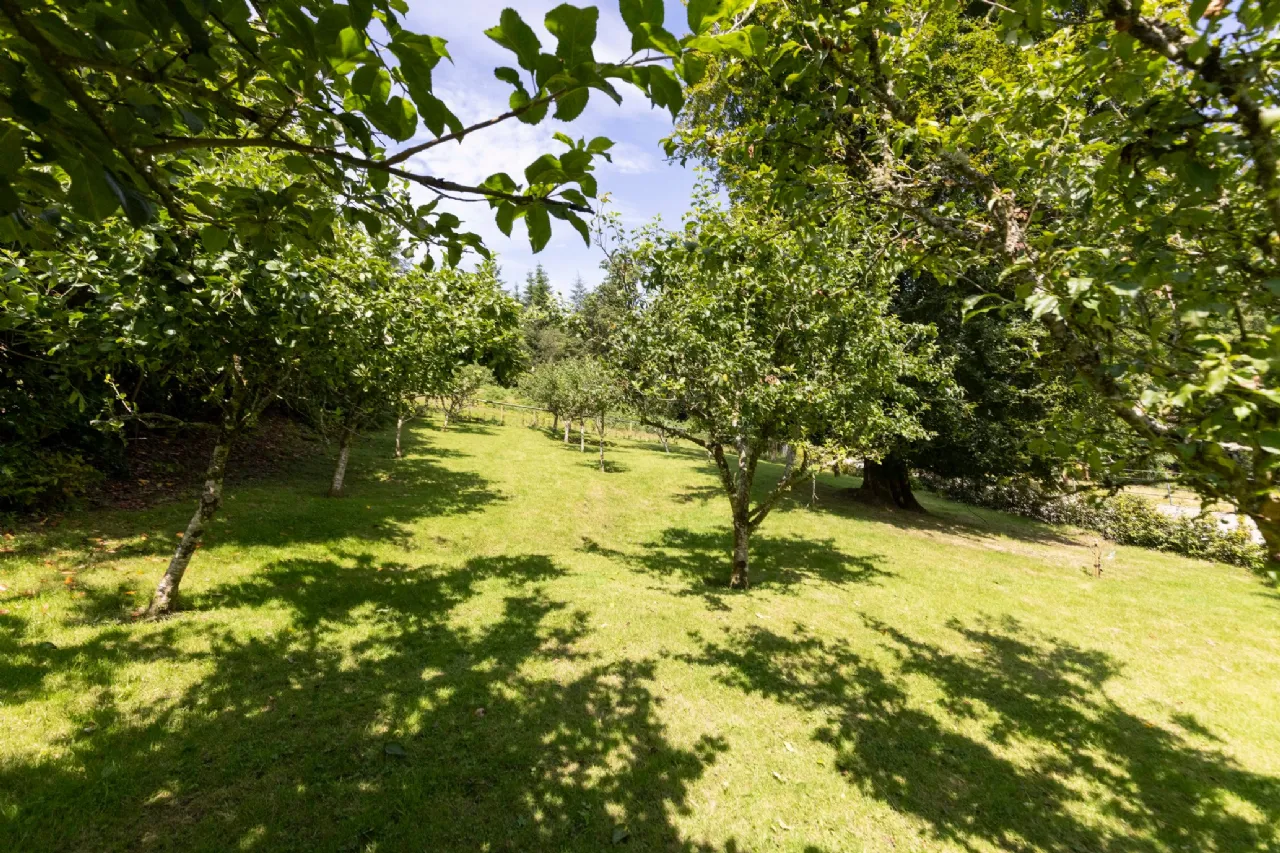 Photo of Ballyteige Lodge, Ballyteige, Tinahely, Arklow, County Wicklow, Y14WF83