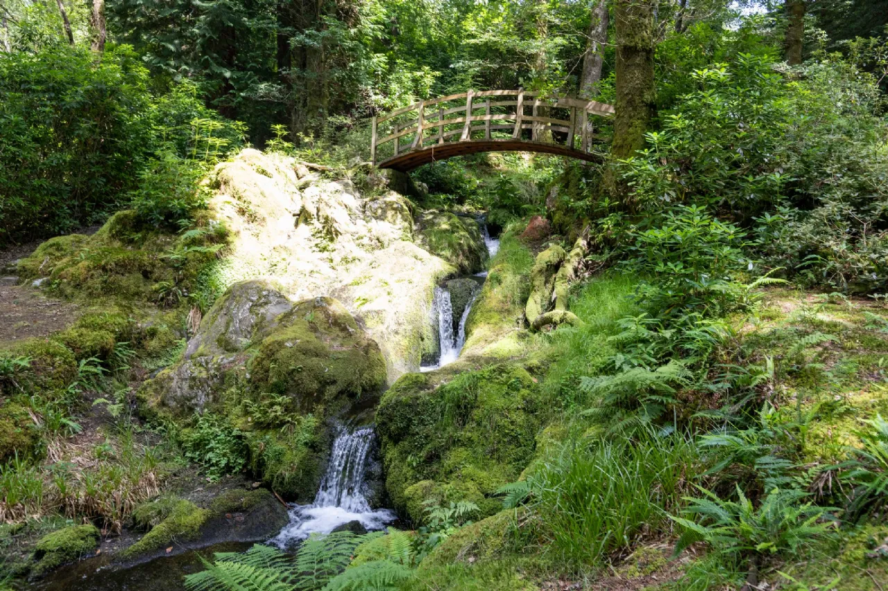 Photo of Ballyteige Lodge, Ballyteige, Tinahely, Arklow, County Wicklow, Y14WF83