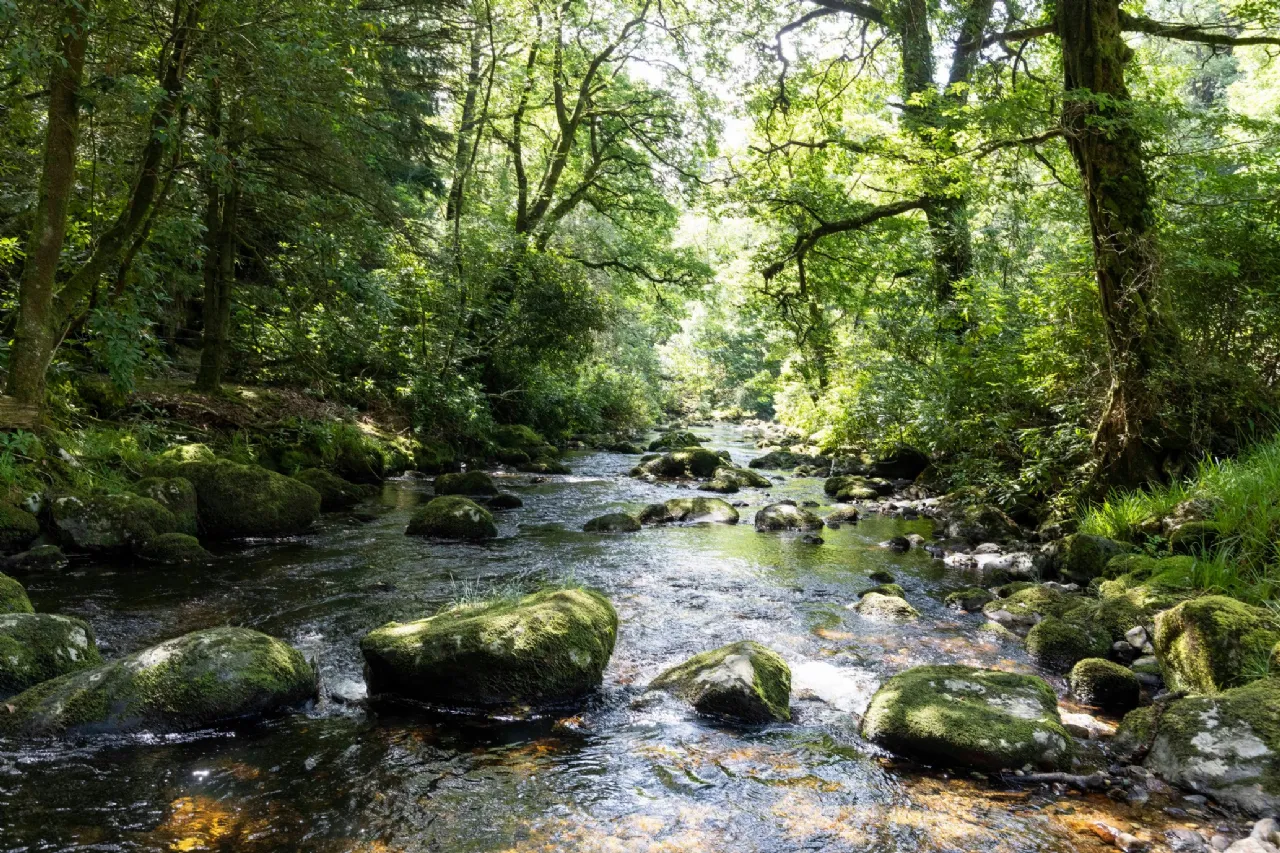 Photo of Ballyteige Lodge, Ballyteige, Tinahely, Arklow, County Wicklow, Y14WF83