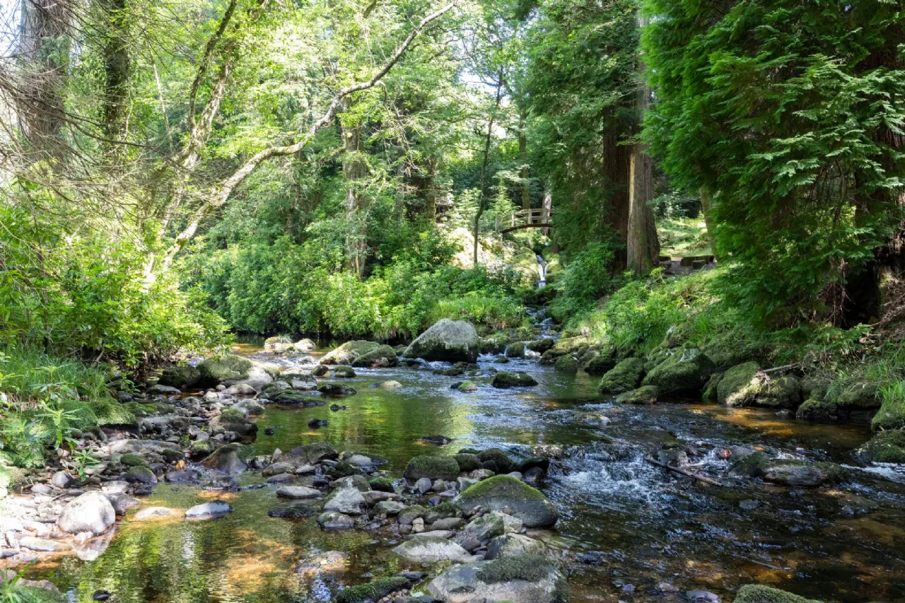 Photo of Ballyteige Lodge, Ballyteige, Tinahely, Arklow, County Wicklow, Y14WF83