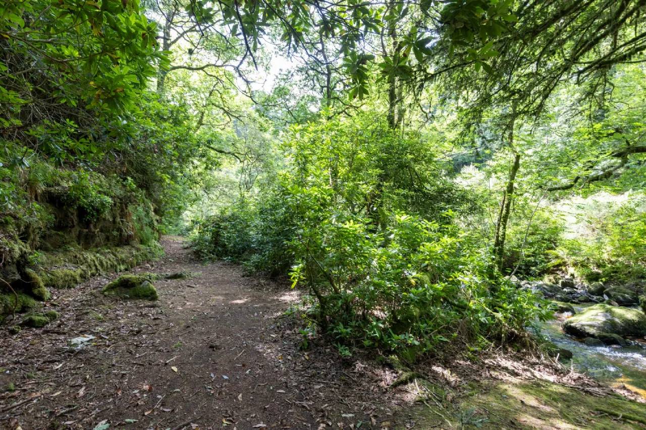 Photo of Ballyteige Lodge, Ballyteige, Tinahely, Arklow, County Wicklow, Y14WF83