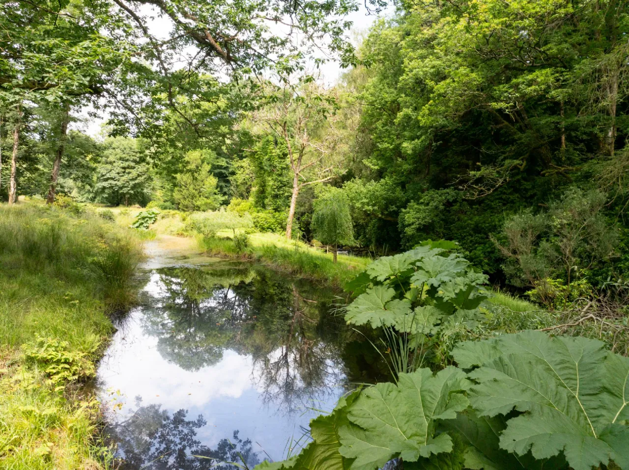 Photo of Ballyteige Lodge, Ballyteige, Tinahely, Arklow, County Wicklow, Y14WF83