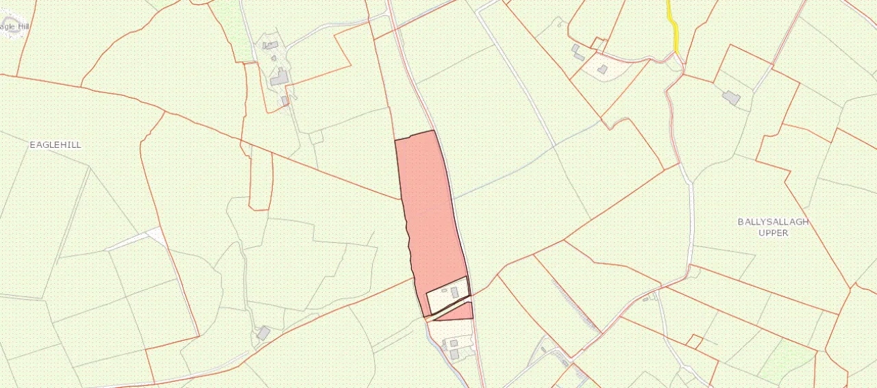 Photo of 6.94 Acres At Ballysallagh, Hacketstown, Co. Carlow, R93 E5Y9