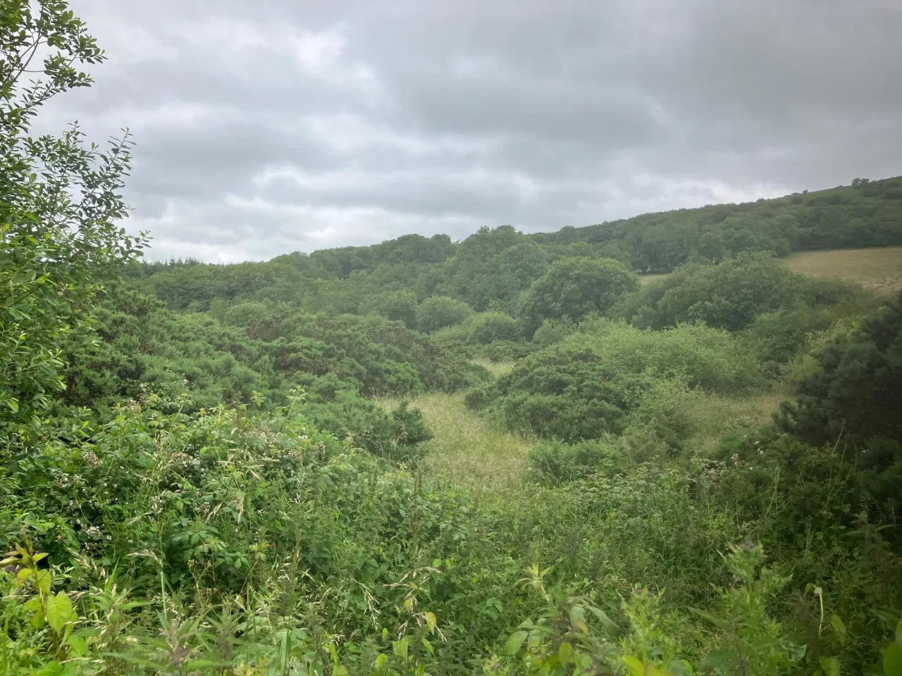 Photo of 6.94 Acres At Ballysallagh, Hacketstown, Co. Carlow, R93 E5Y9