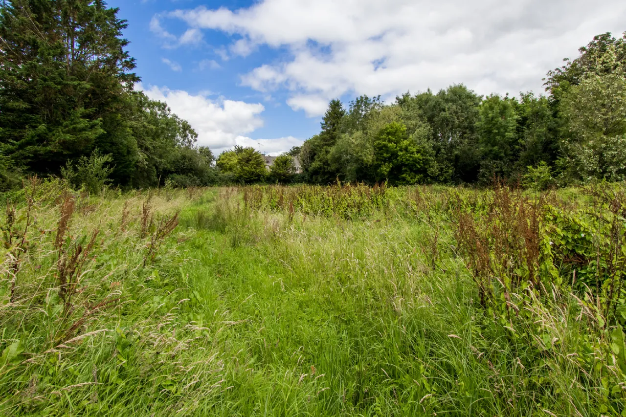 Photo of Church Street, Strokestown, Co. Roscommon, F42T021