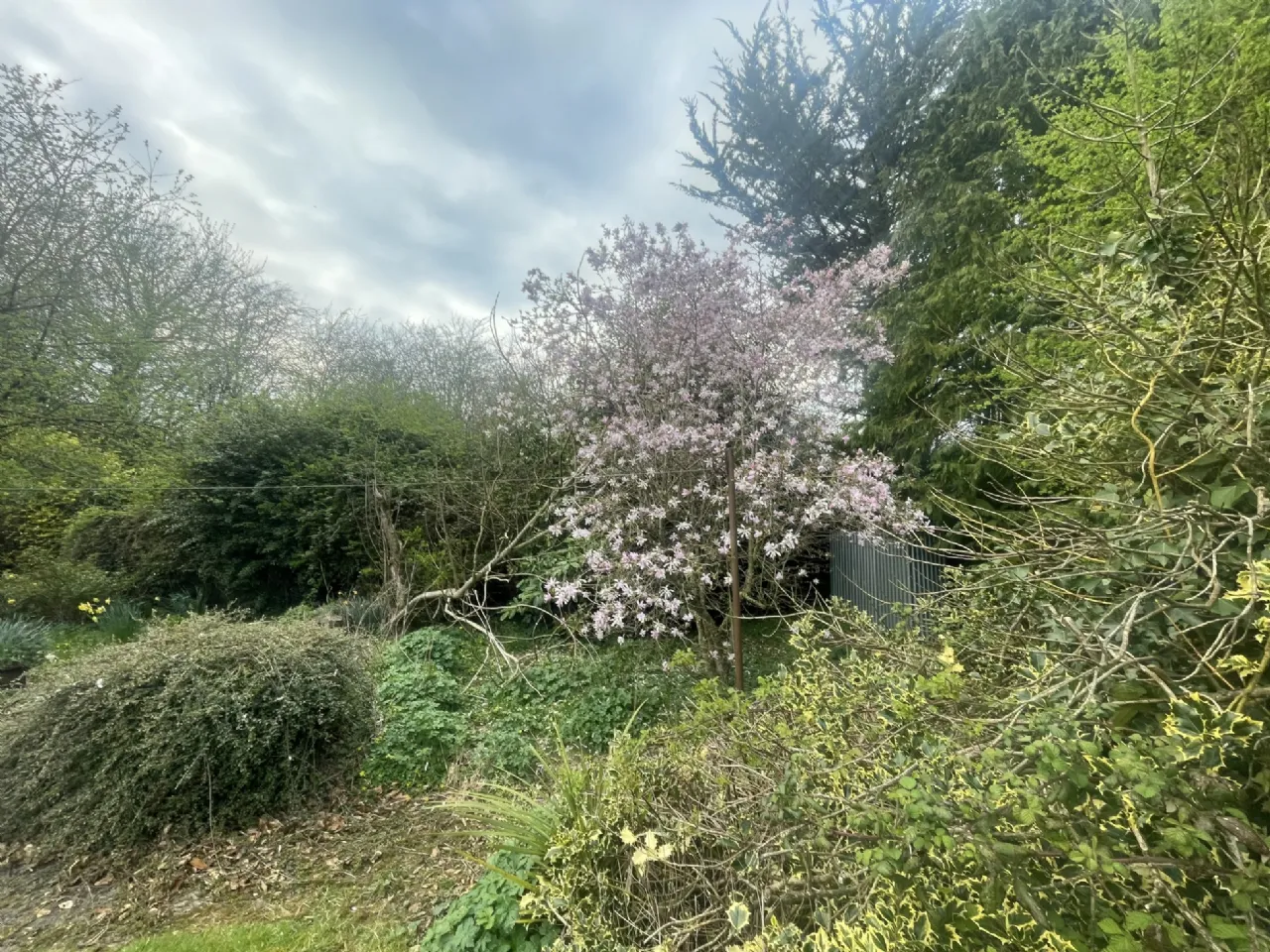 Photo of Dún-An-Óir, Templemore Road, Roscrea, Co. Tipperary, E53 X316