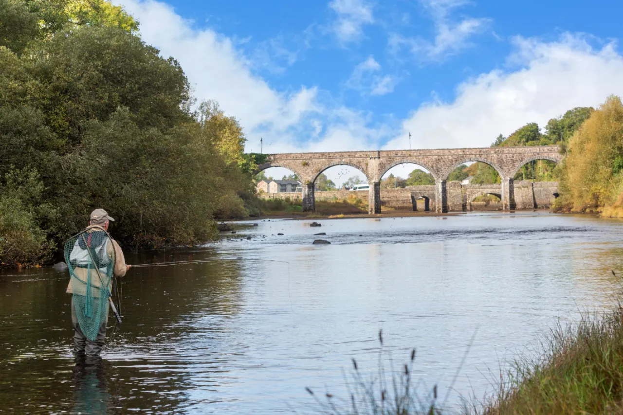 Photo of Newport House, Main Street, Newport, County Mayo, F28F243