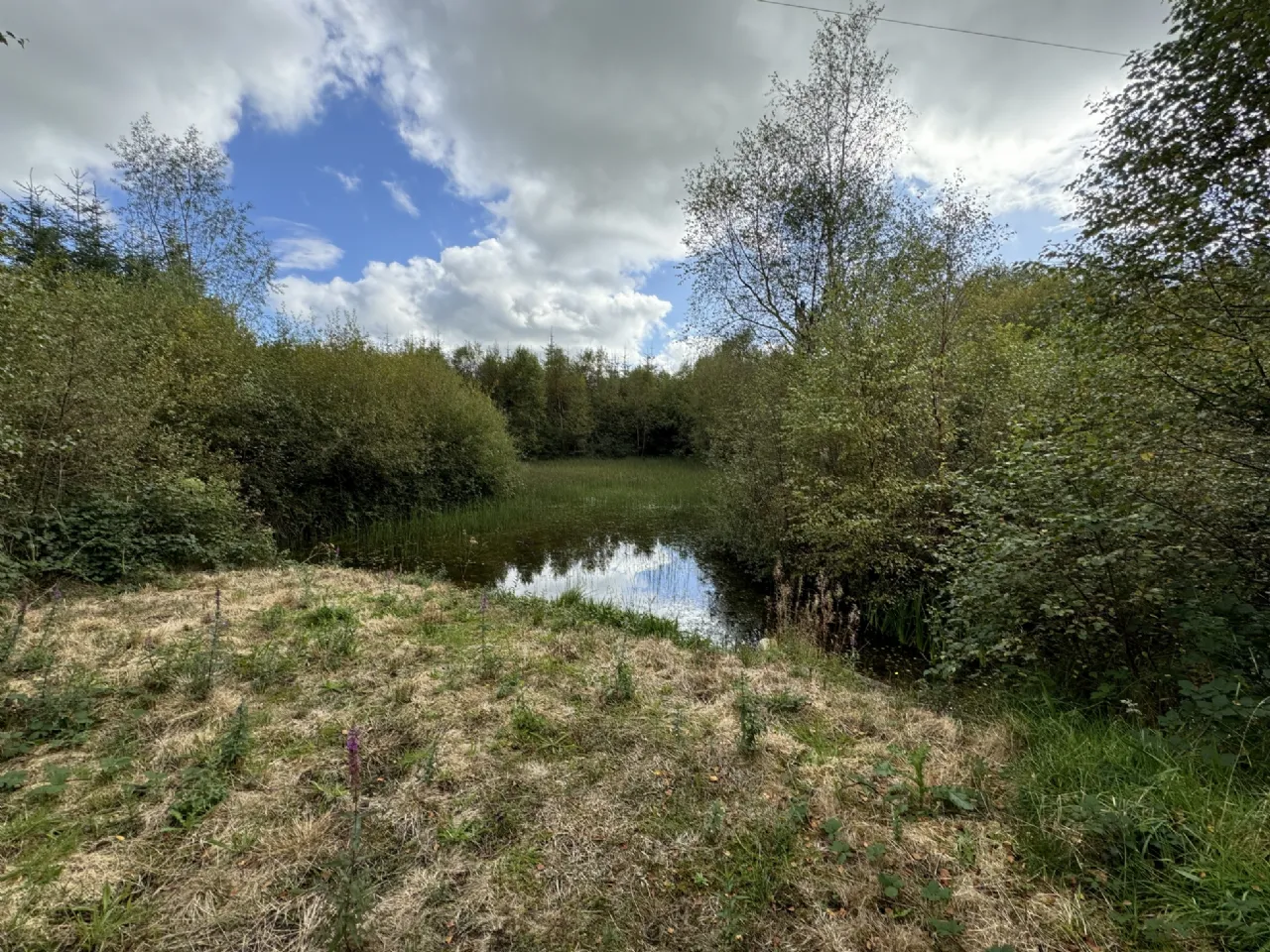 Photo of Kilmore, Foxford, Co. Mayo