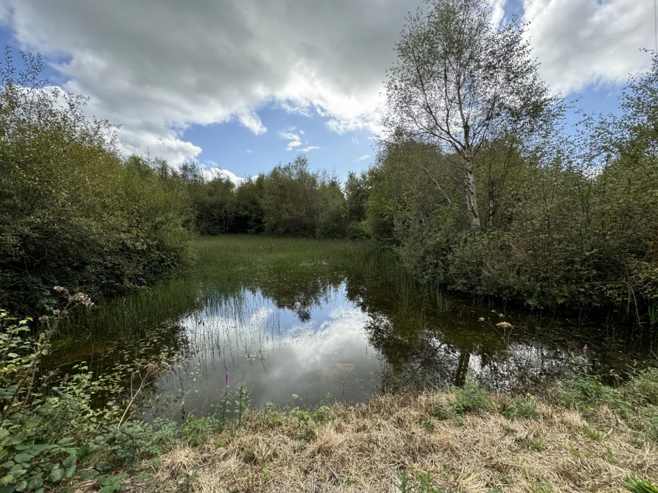 Photo of Kilmore, Foxford, Co. Mayo