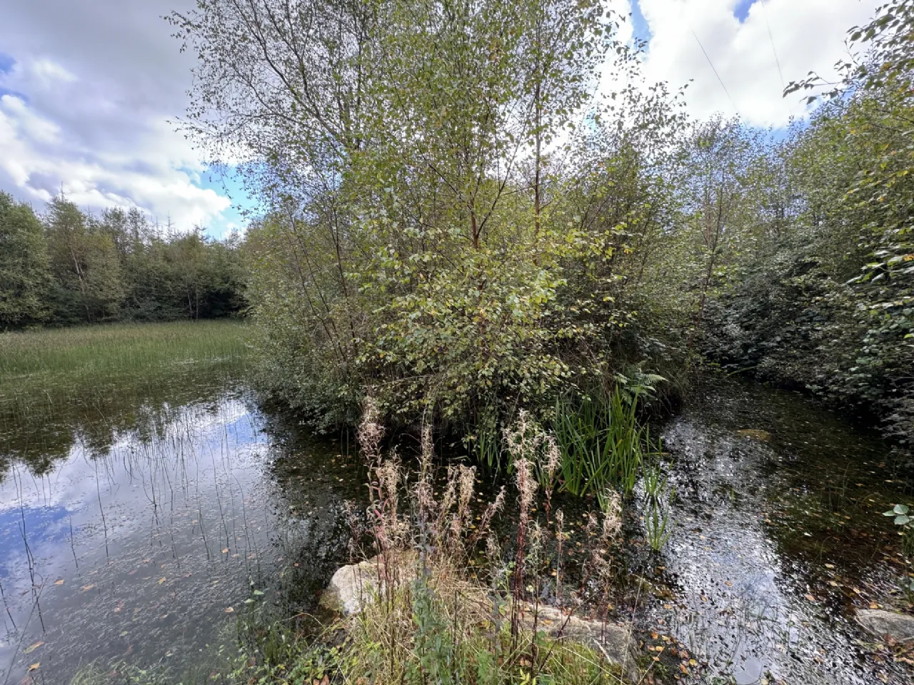 Photo of Kilmore, Foxford, Co. Mayo