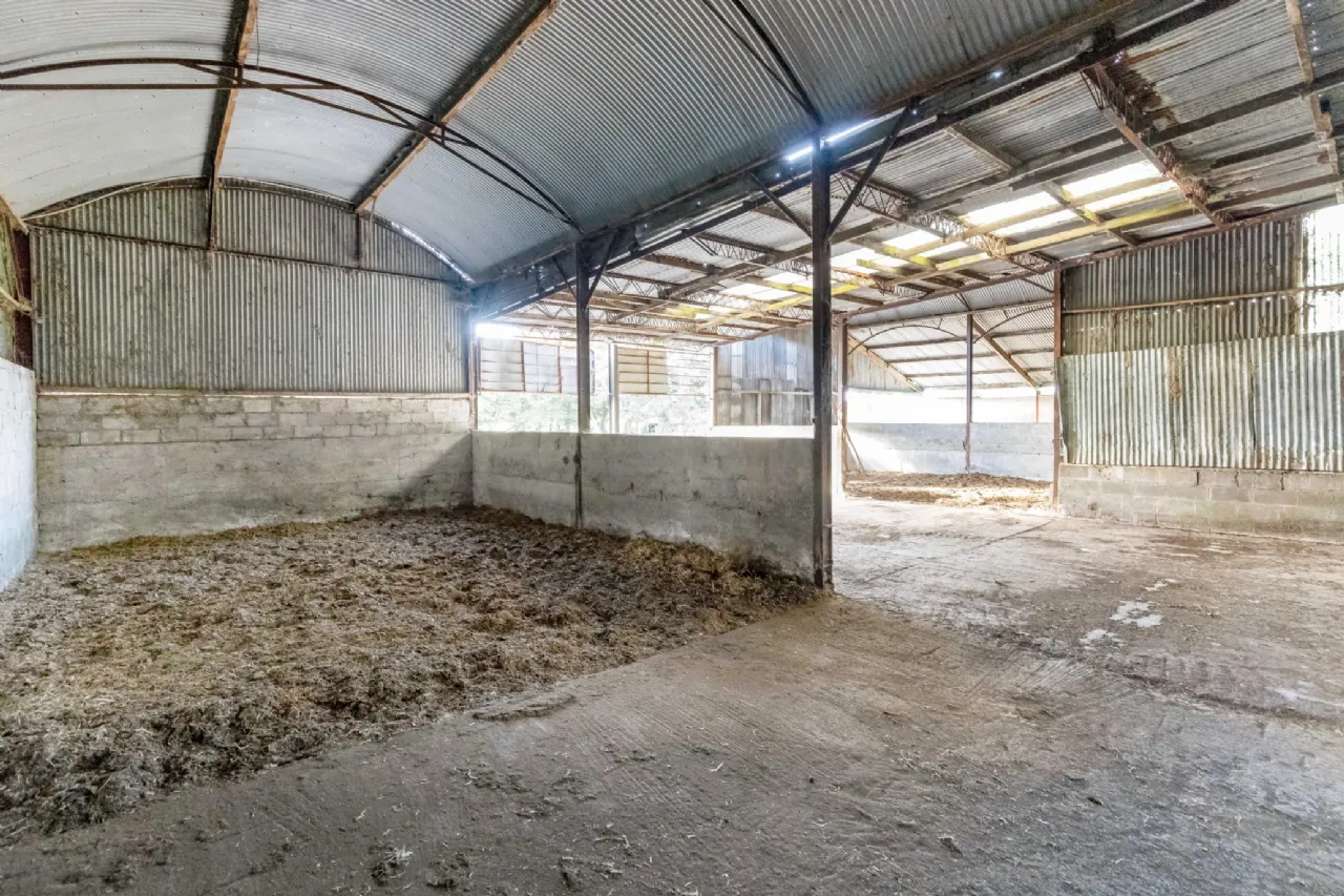 Photo of 40 Acre Residential Farm, Fleenstown, The Ward, Co. Meath, D11 RW98