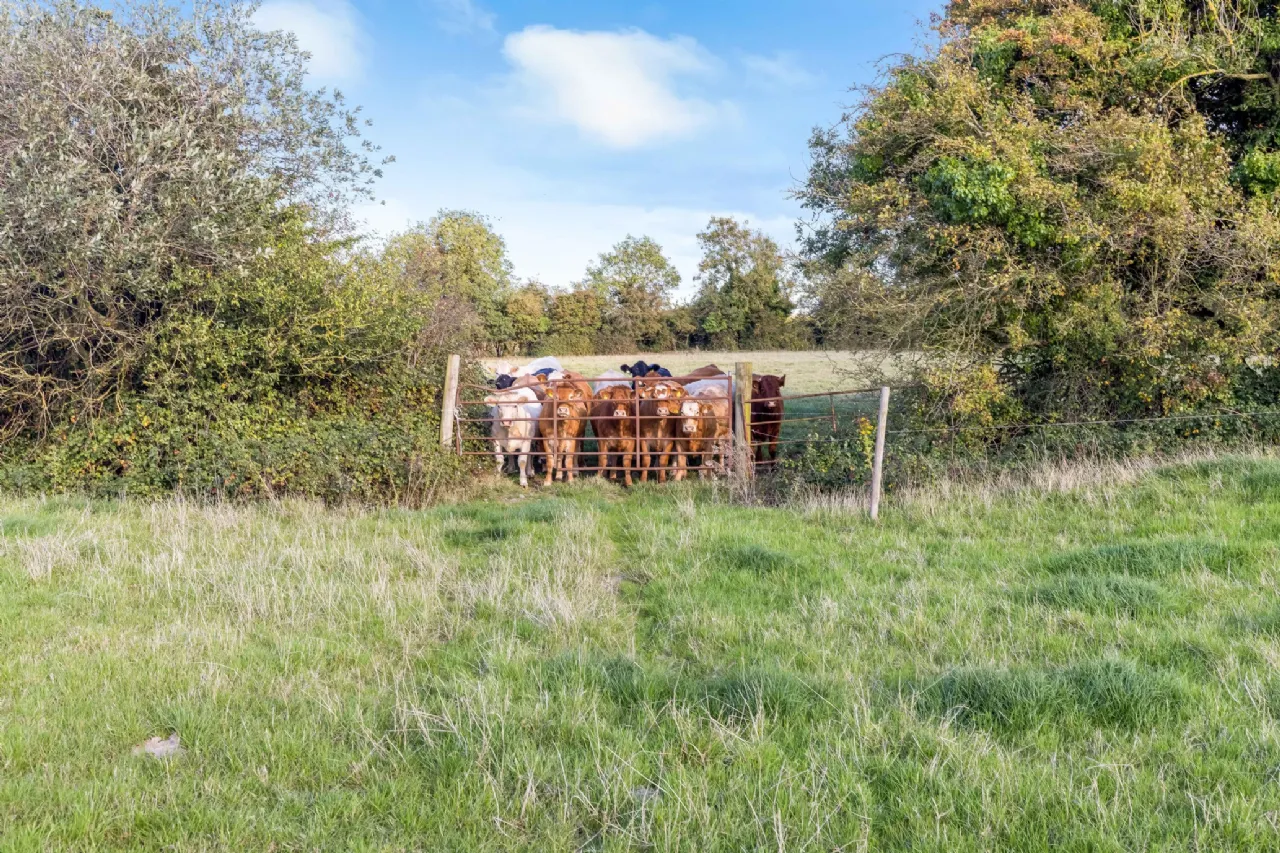 Photo of 40 Acre Residential Farm, Fleenstown, The Ward, Co. Meath, D11 RW98