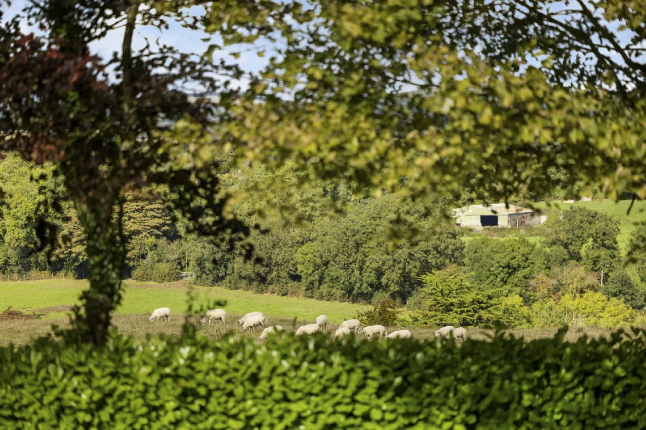 Photo of Drummin House, Timullen, Rathdrum, County Wicklow, A67 H267